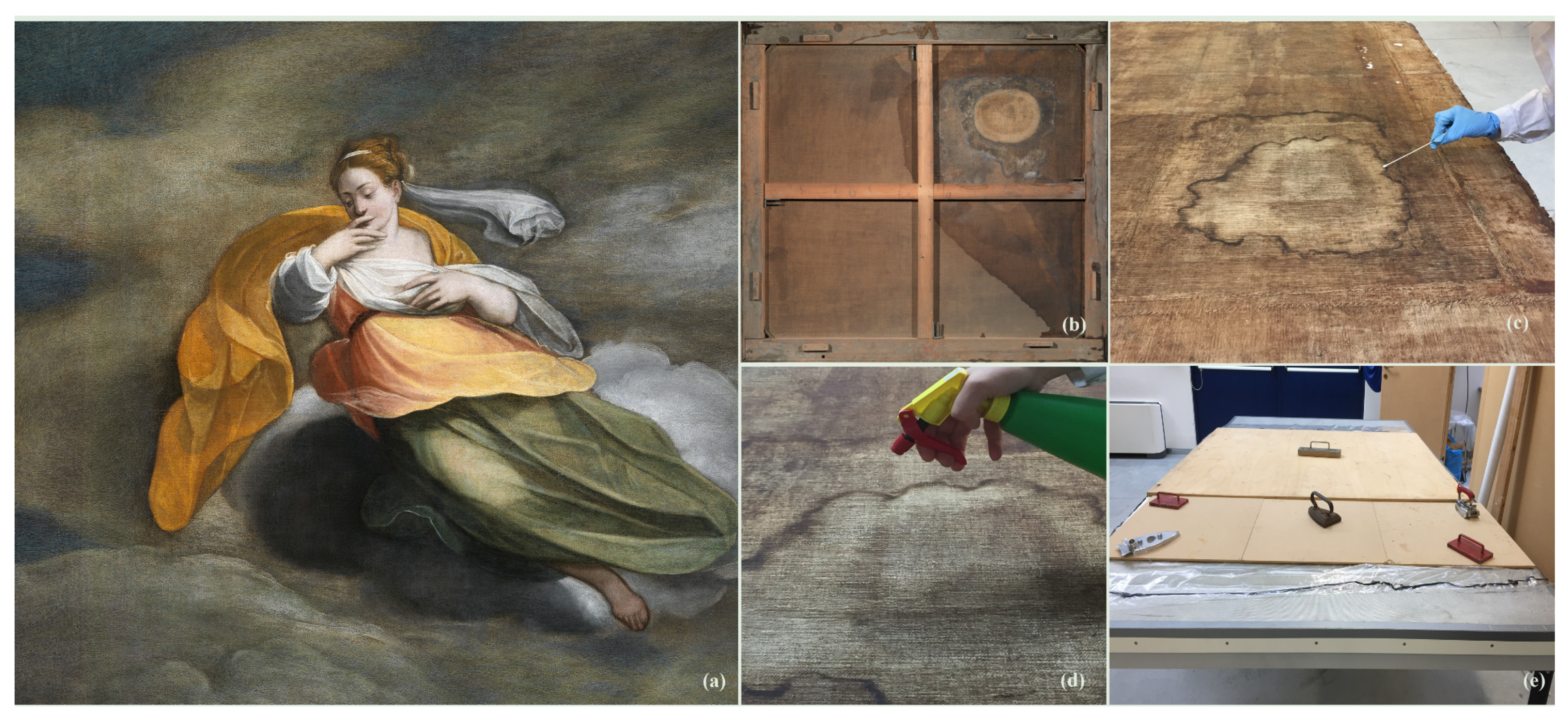 Jof 08 00140 g002 Jof 08 00140 g002