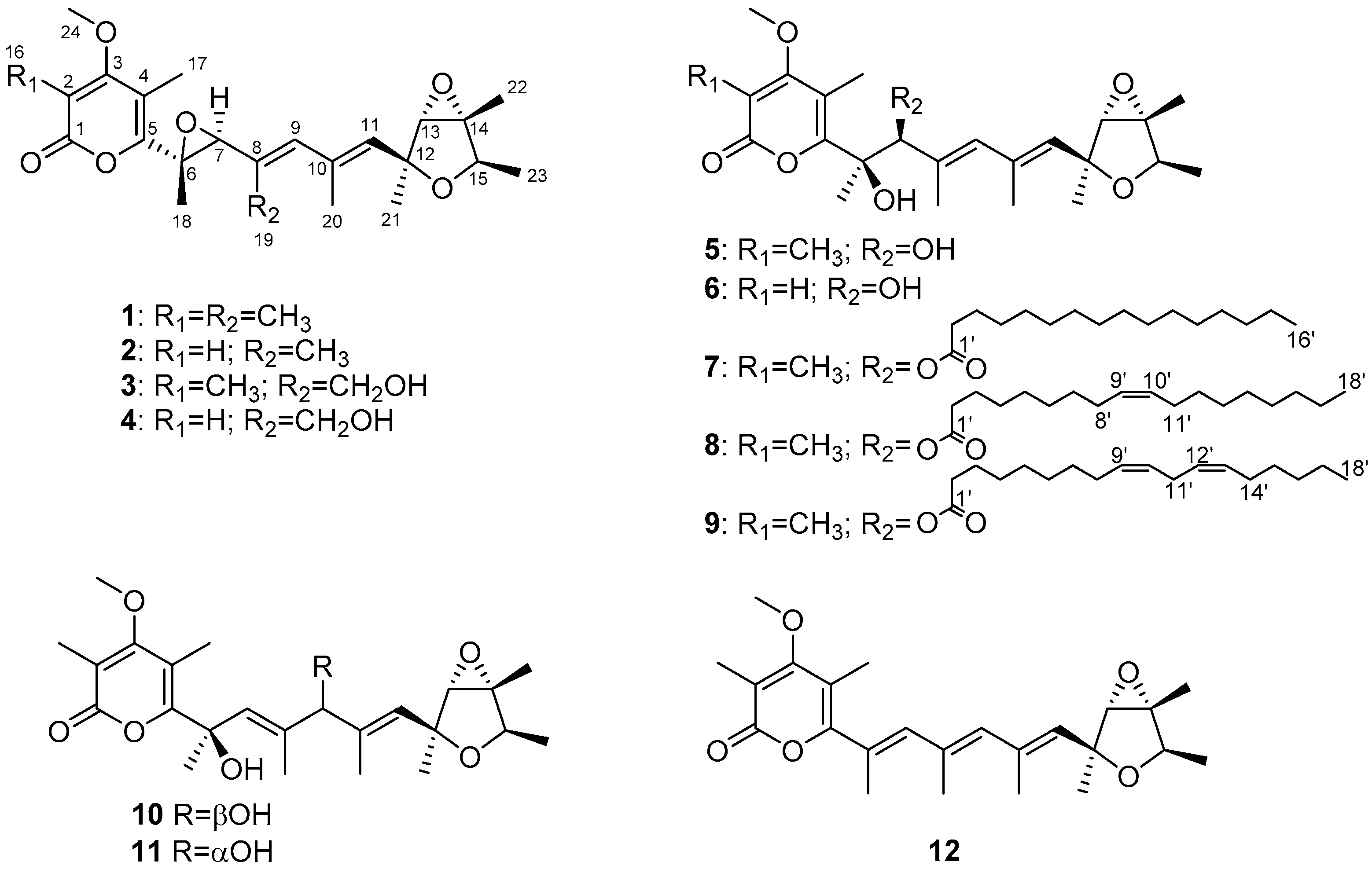 Jof 08 00143 g001 550