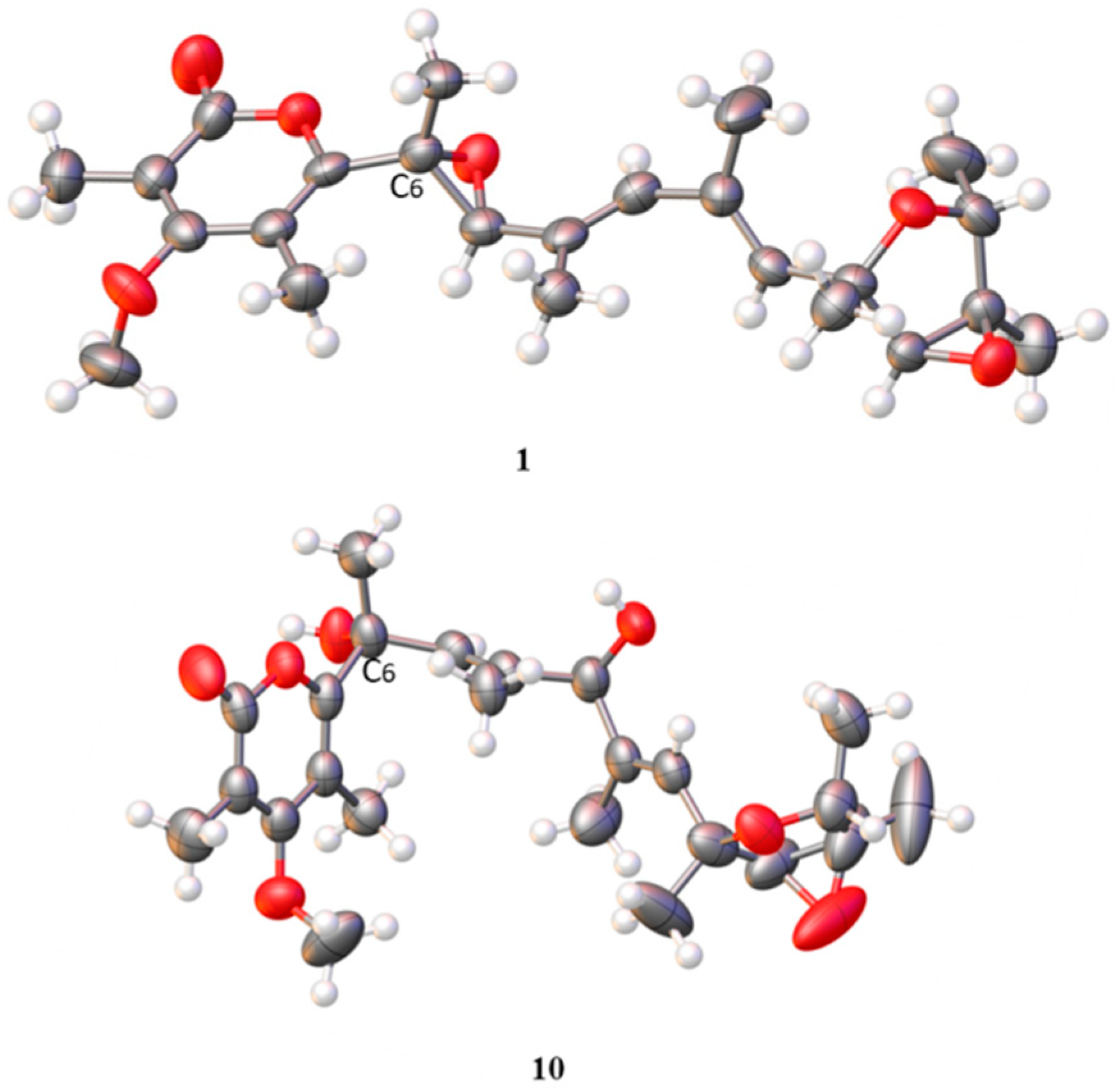 Jof 08 00143 g003 550