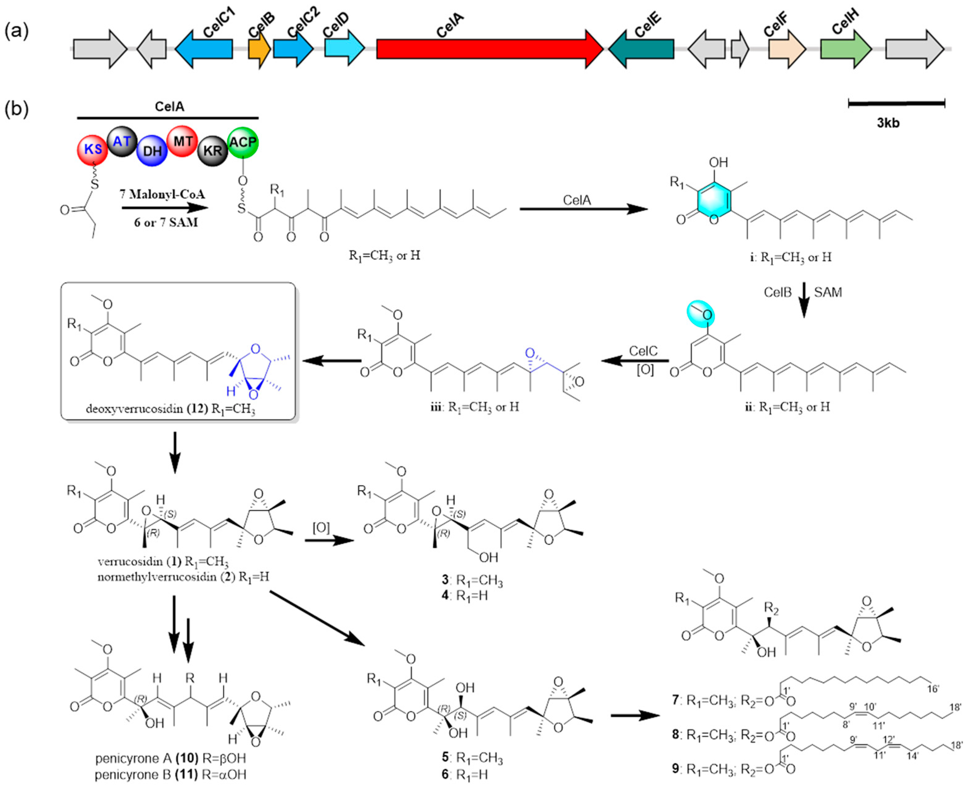 Jof 08 00143 g009 550