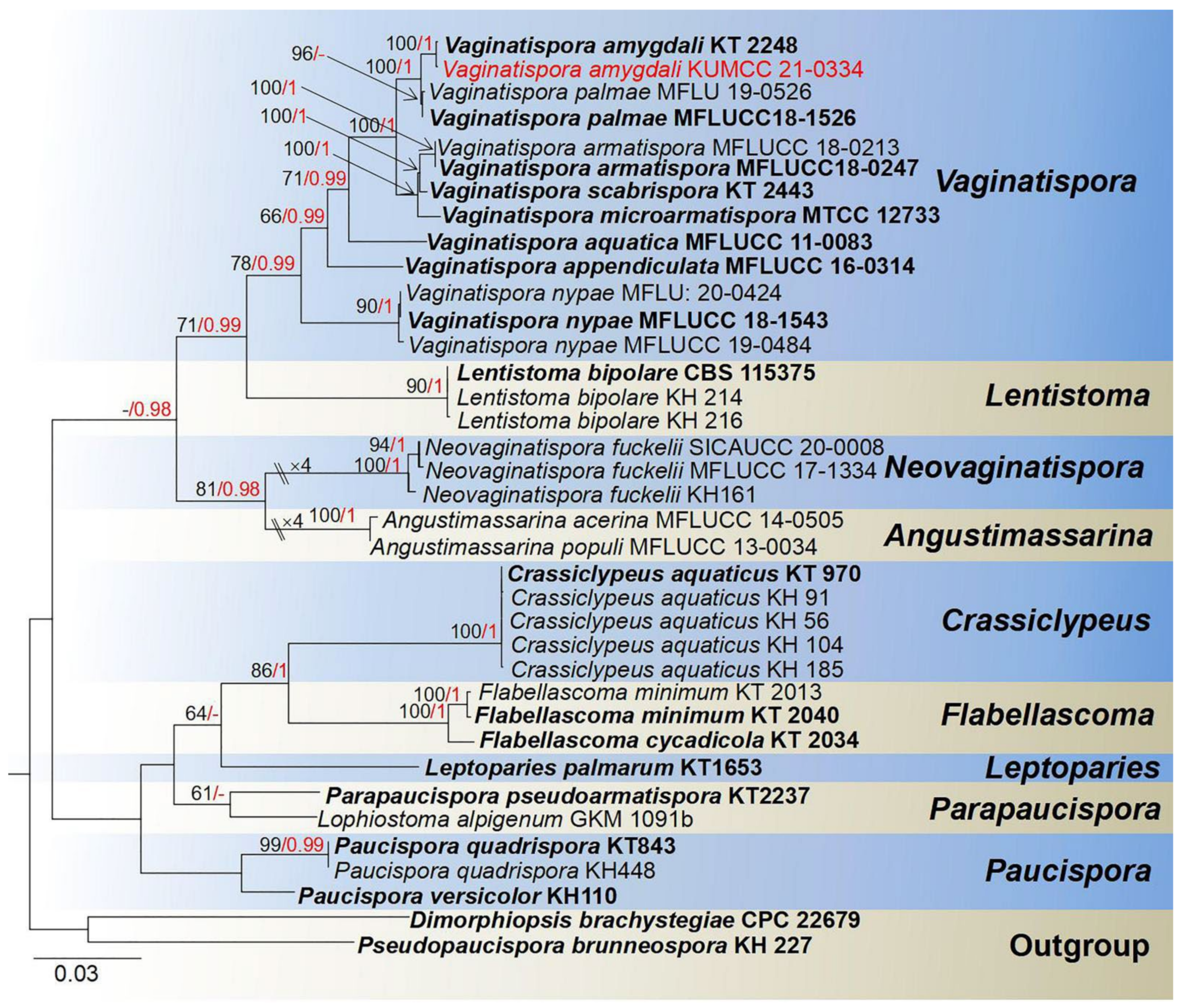 Jof 08 00152 g001 Jof 08 00152 g001