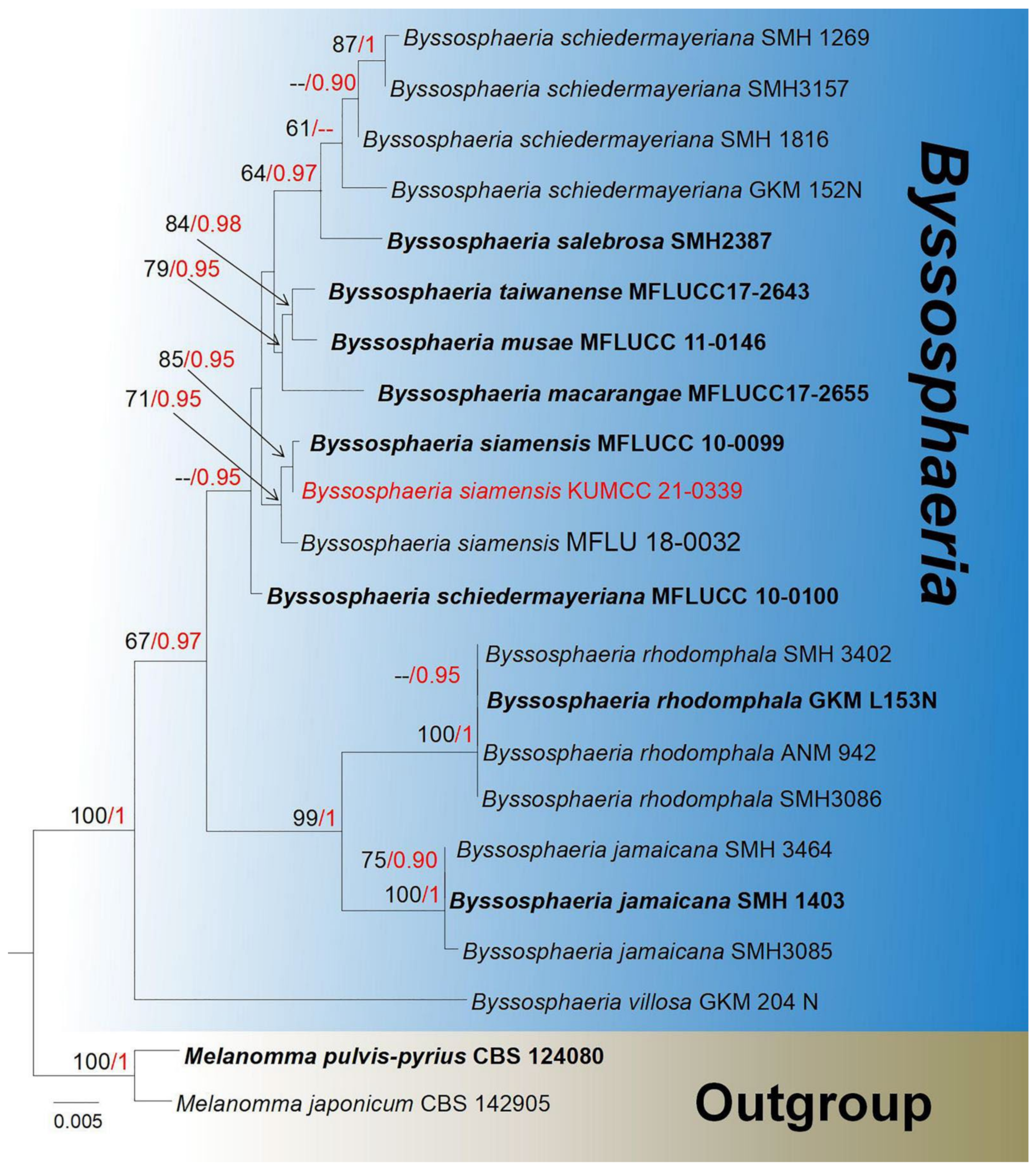 Jof 08 00152 g003 Jof 08 00152 g003