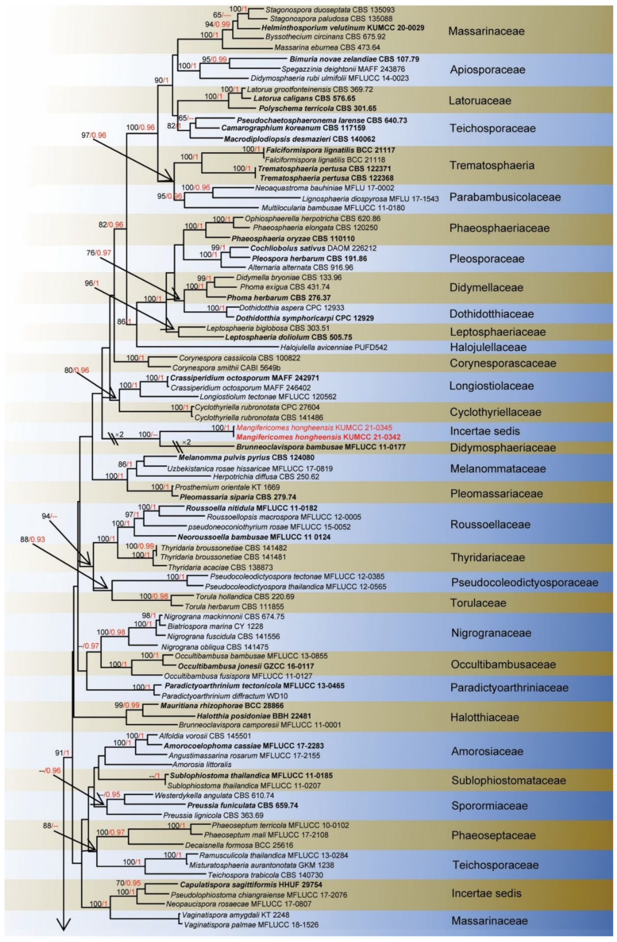 Jof 08 00152 g005a Jof 08 00152 g005a