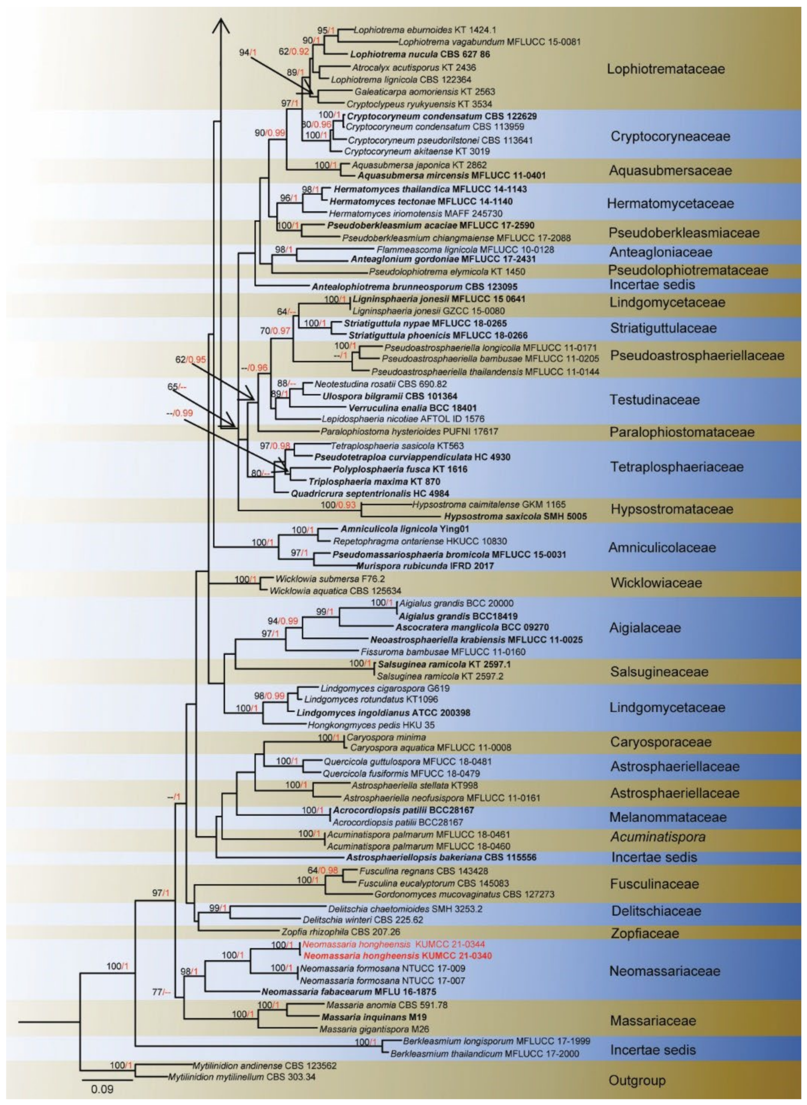 Jof 08 00152 g005b Jof 08 00152 g005b