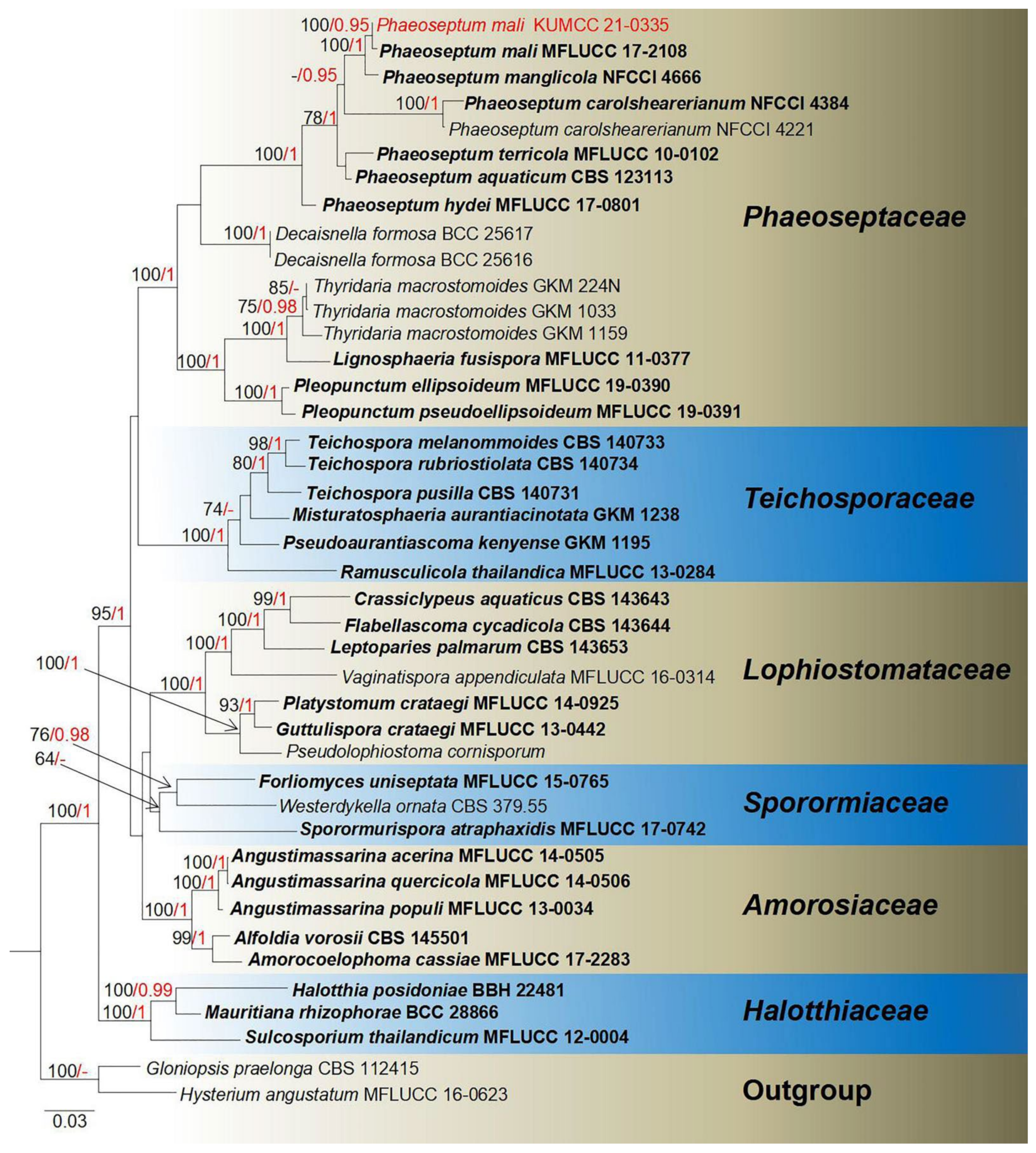 Jof 08 00152 g013 Jof 08 00152 g013