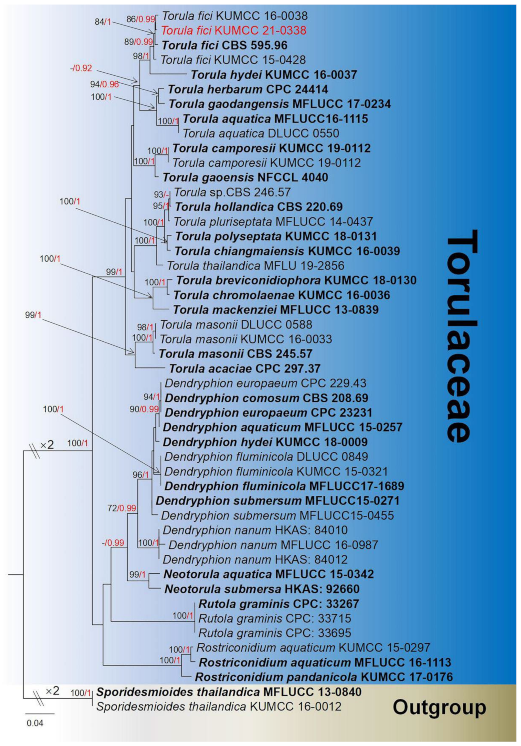 Jof 08 00152 g015 Jof 08 00152 g015
