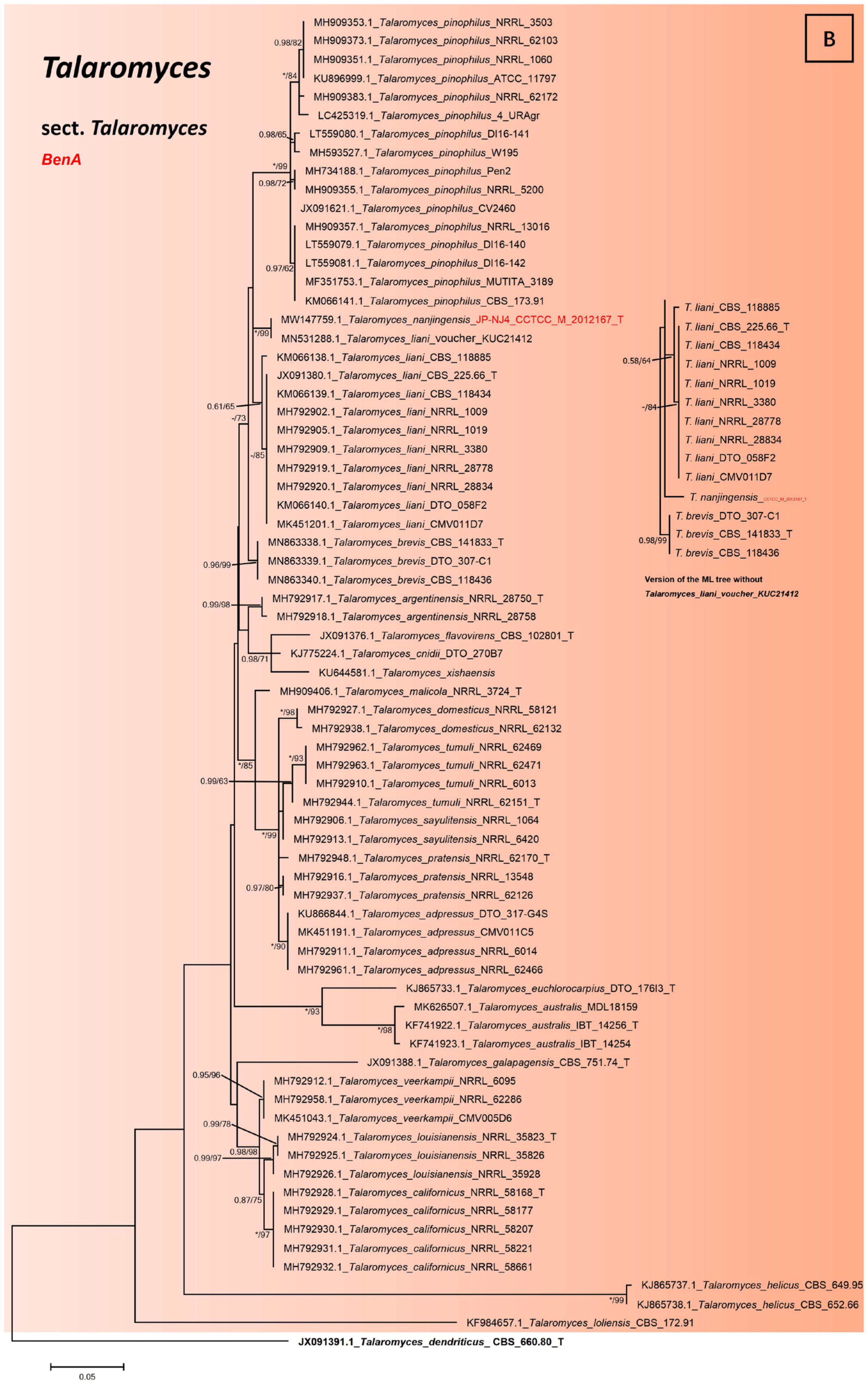 Jof 08 00155 g003c Jof 08 00155 g003c