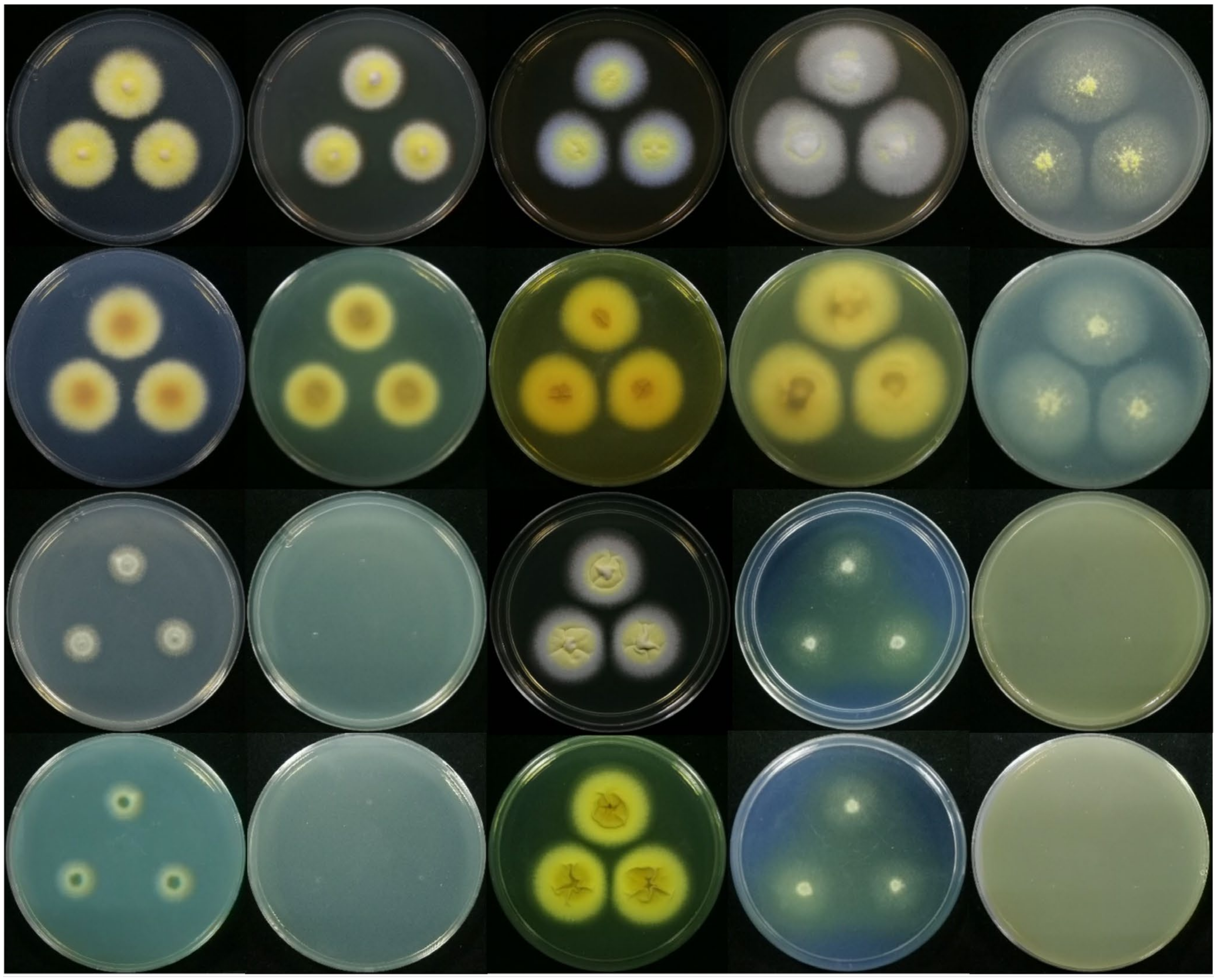 Jof 08 00155 g004 Jof 08 00155 g004