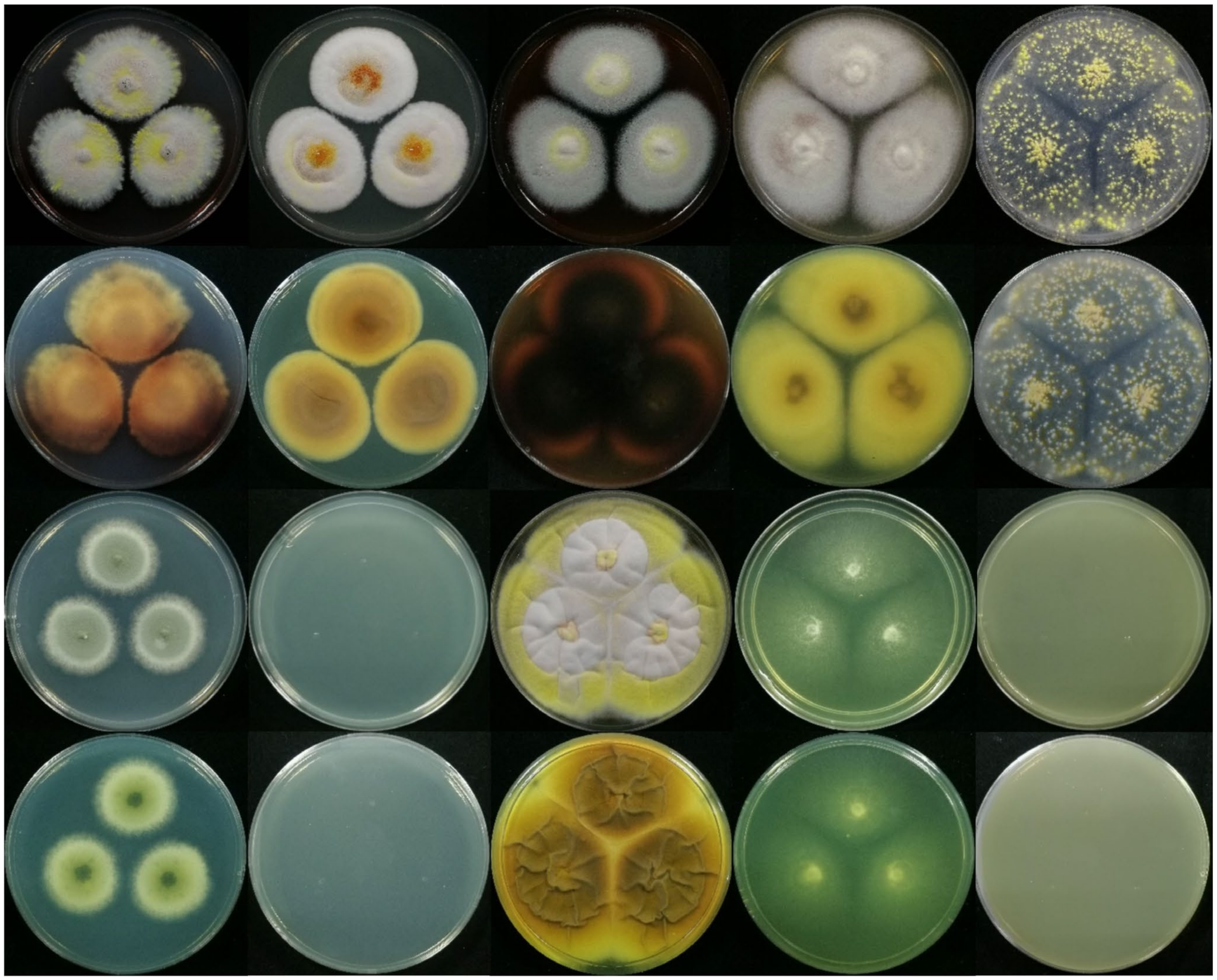 Jof 08 00155 g005 Jof 08 00155 g005