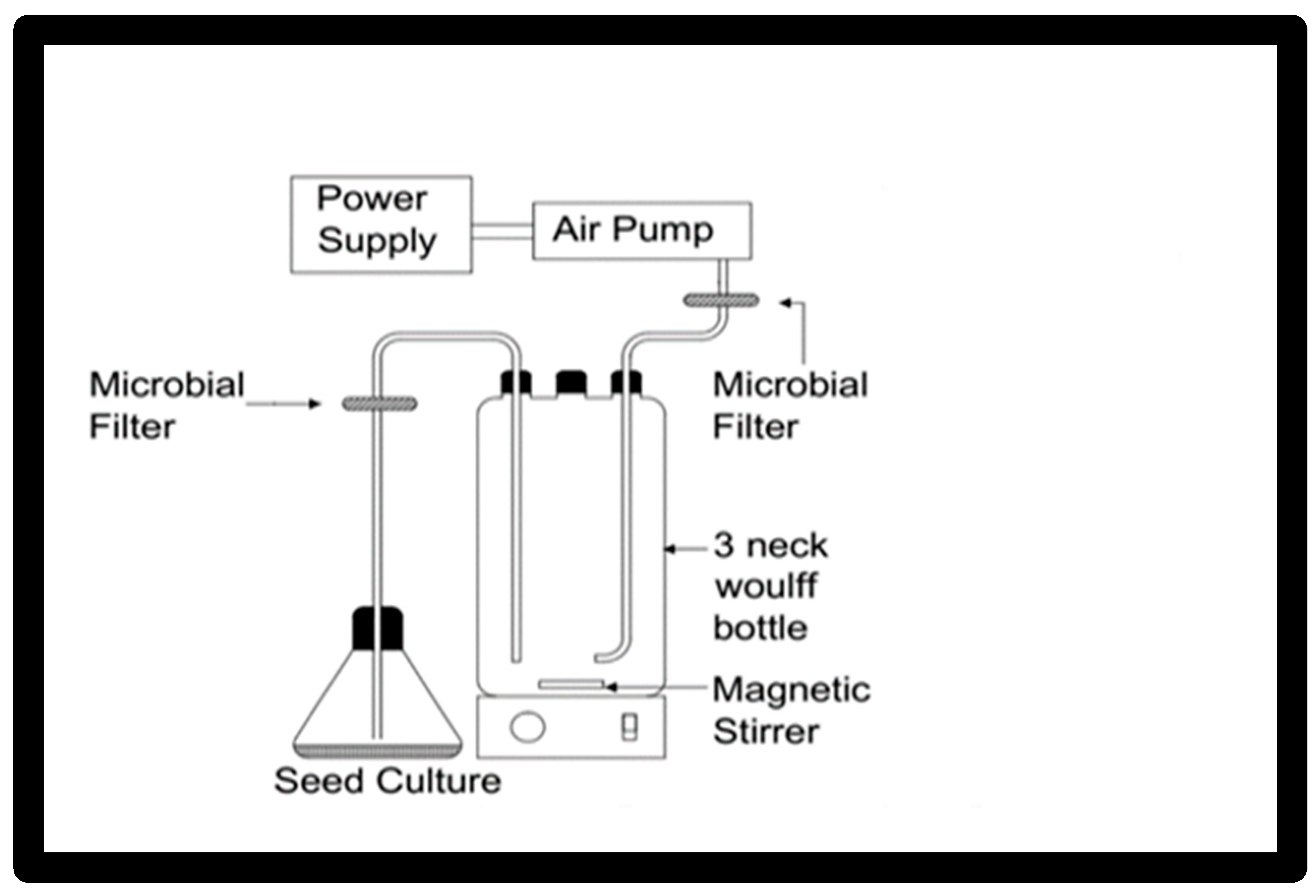 Jof 08 00160 g001 550