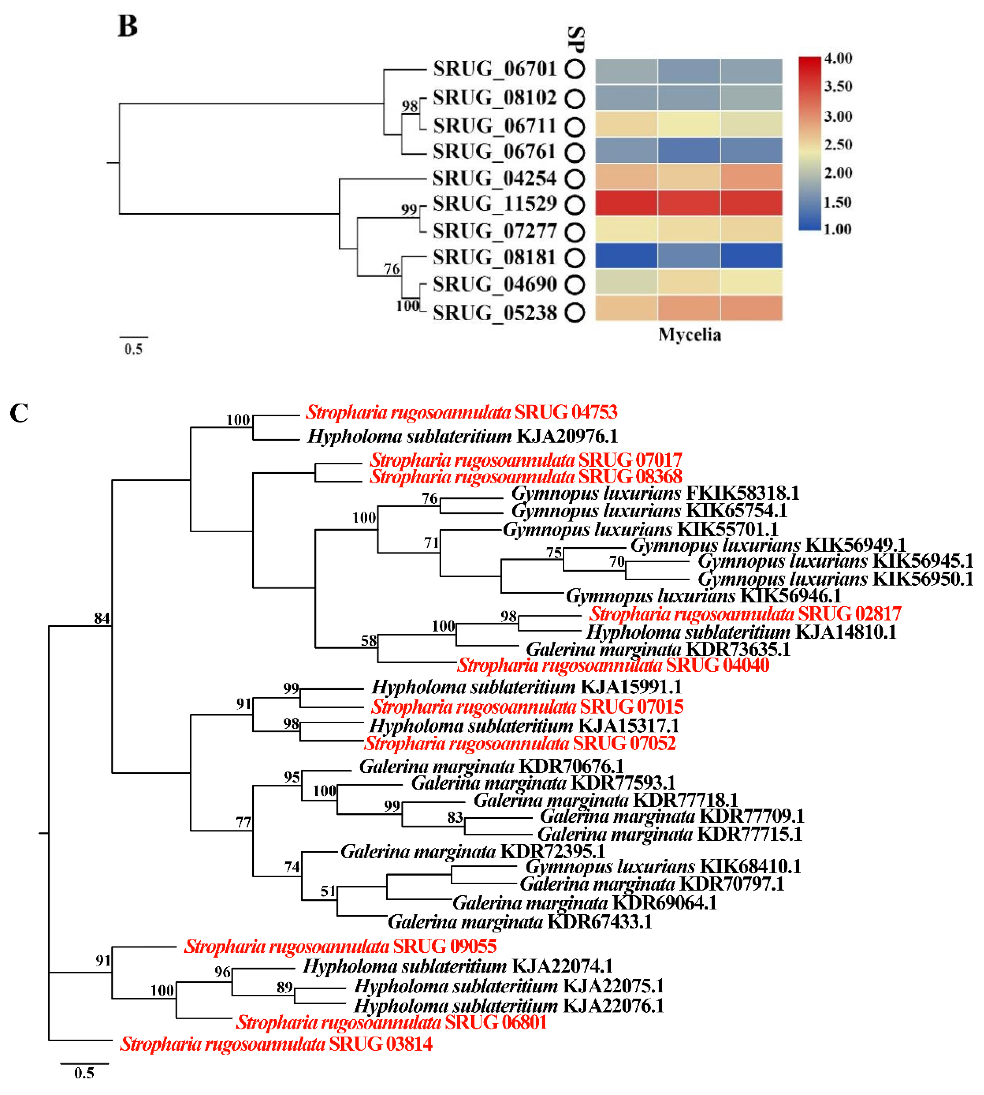 Jof 08 00162 g004b 550