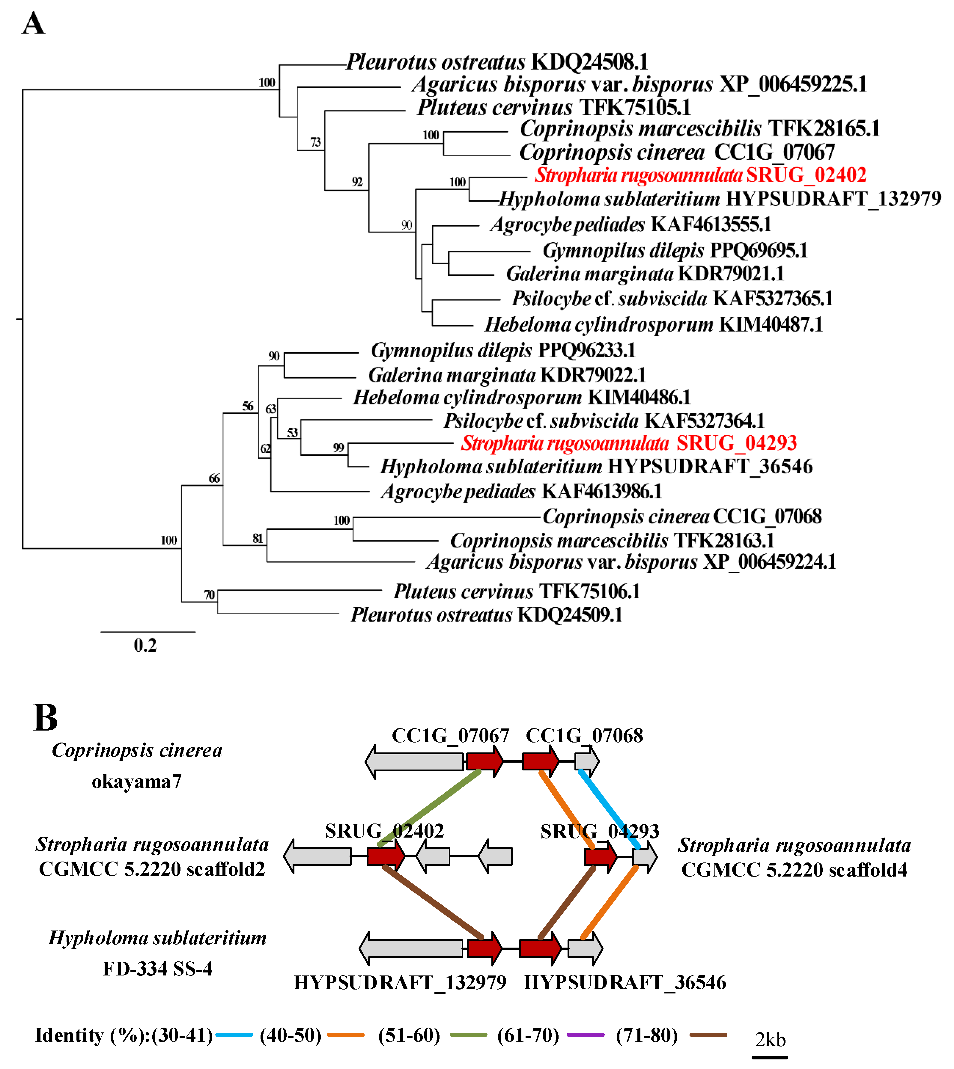 Jof 08 00162 g005a 550