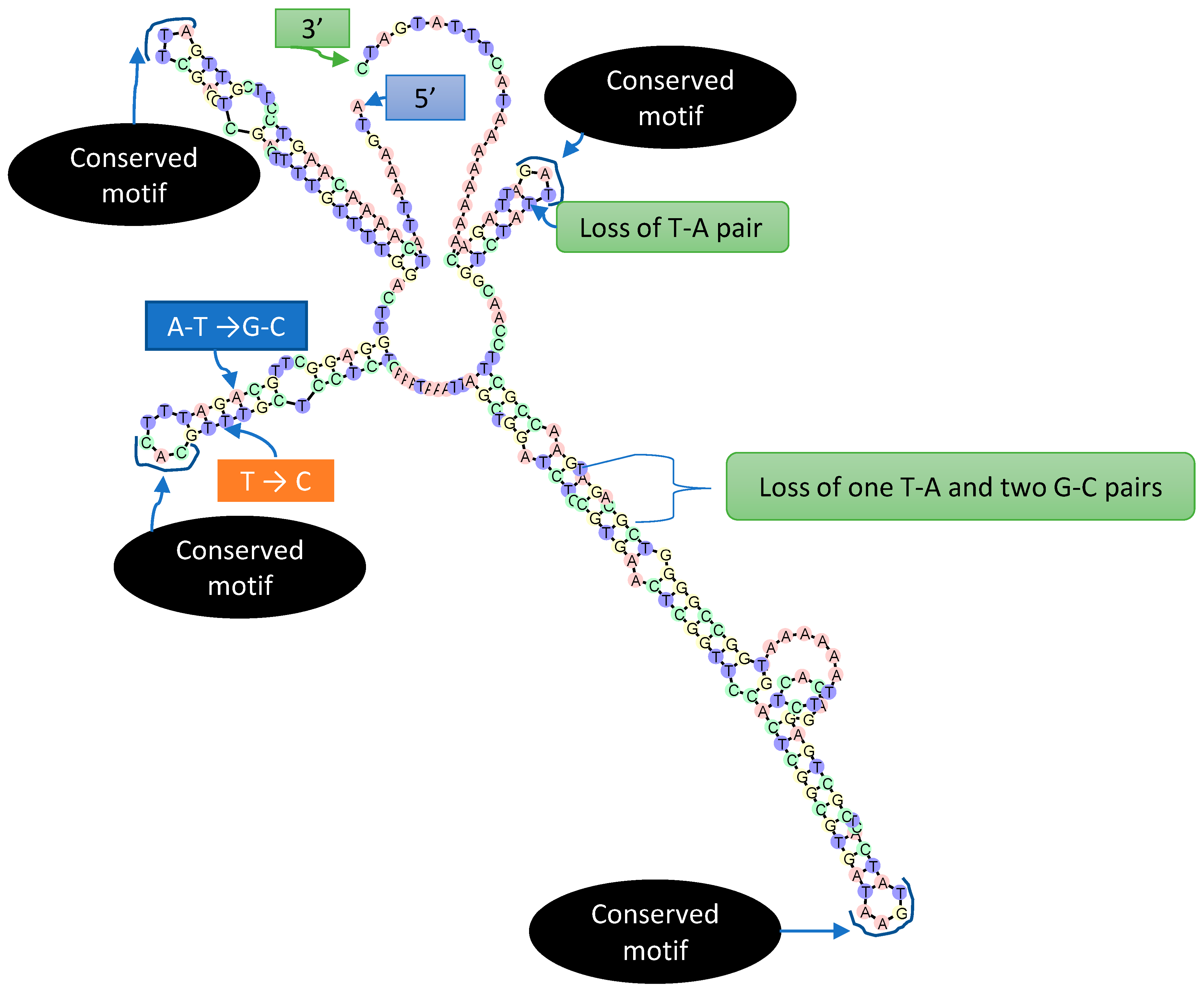 Jof 08 00163 g007 Jof 08 00163 g007