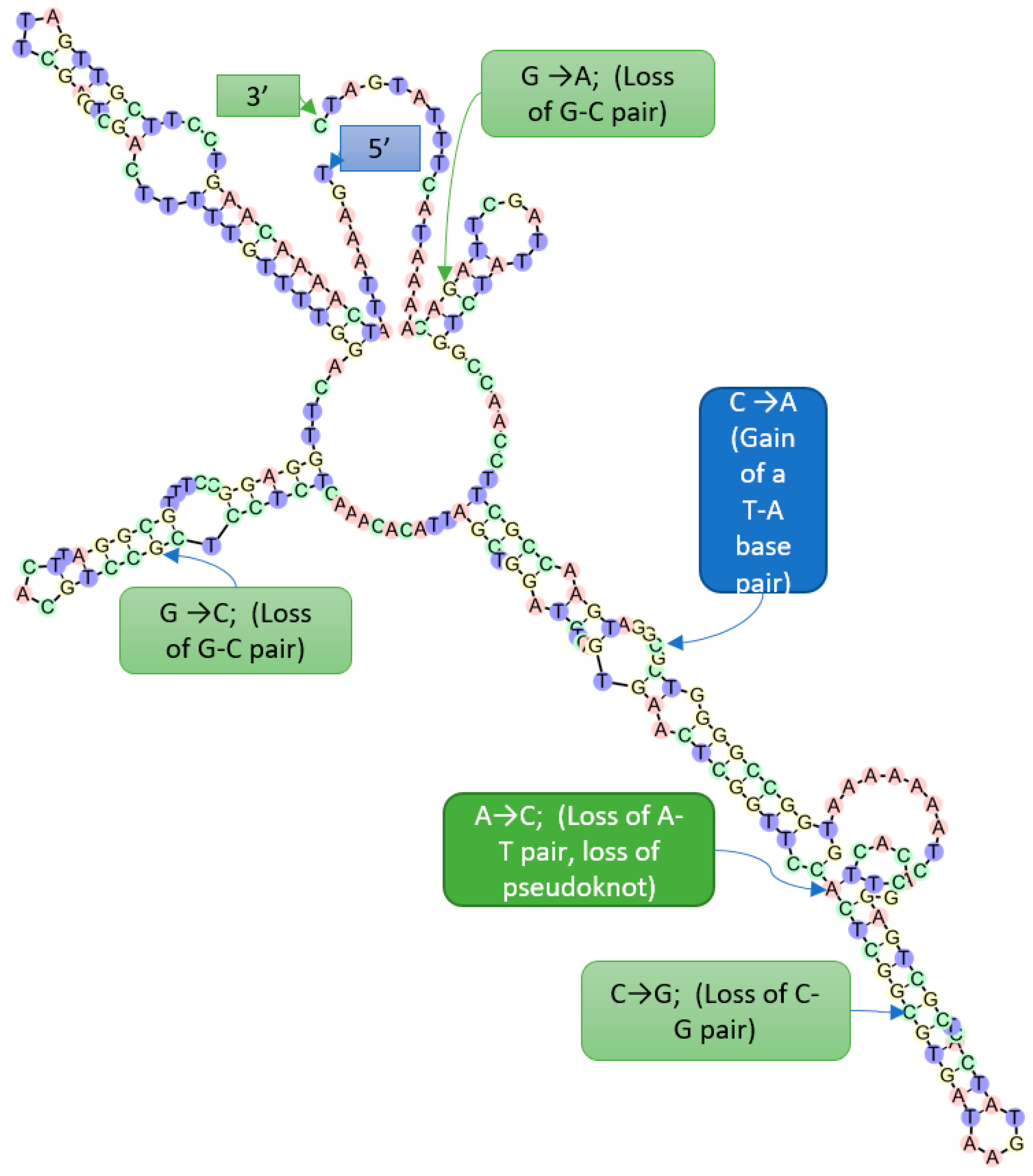 Jof 08 00163 g008 Jof 08 00163 g008