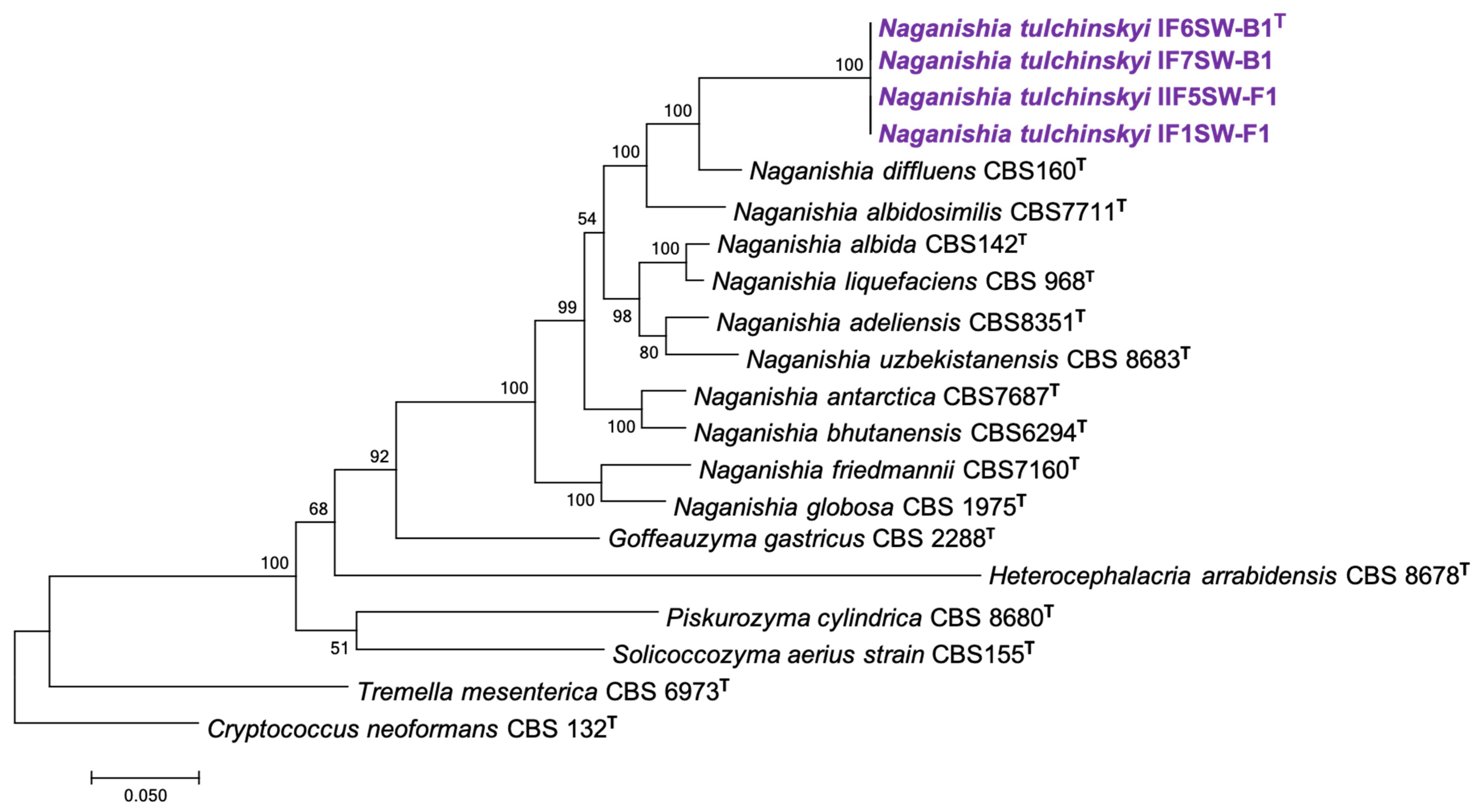 Jof 08 00165 g001 Jof 08 00165 g001