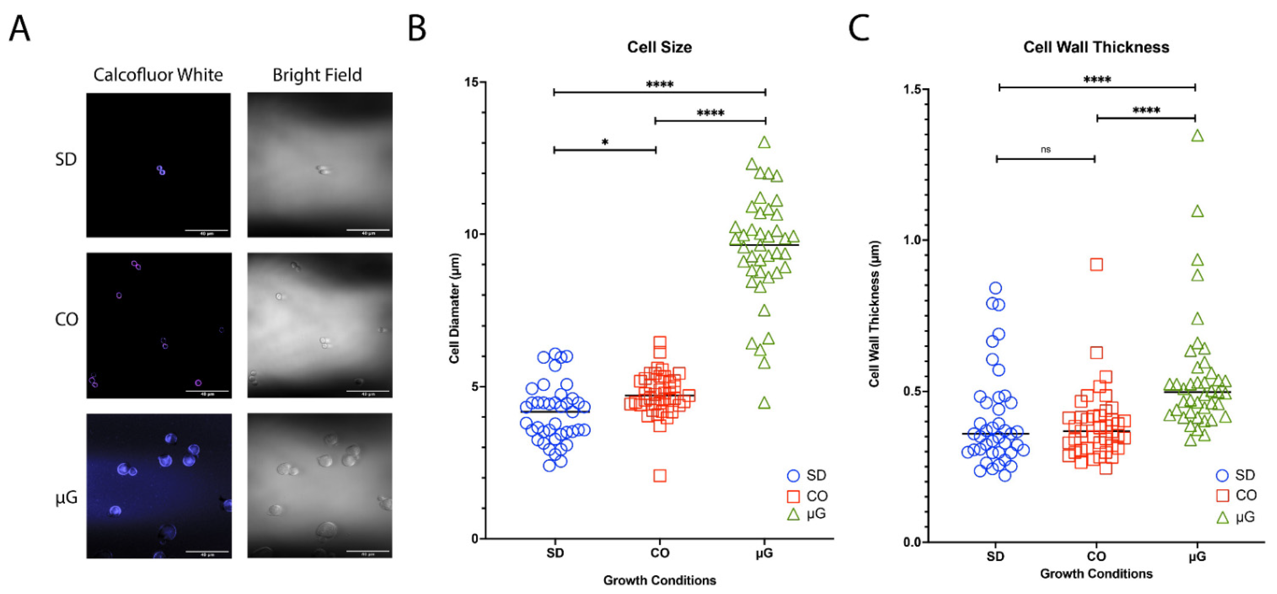 Jof 08 00165 g002 Jof 08 00165 g002