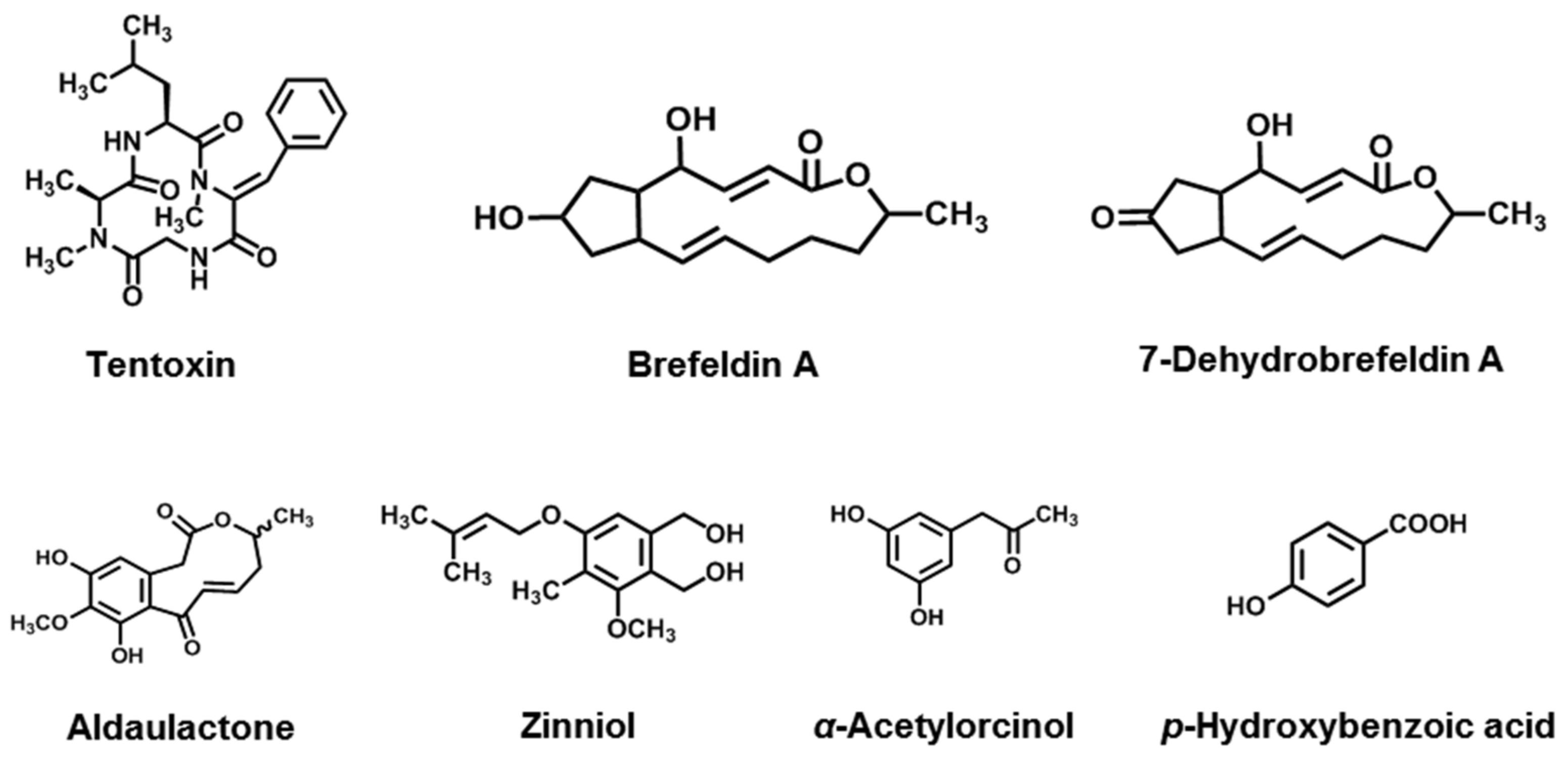 Jof 08 00168 g010 Jof 08 00168 g010