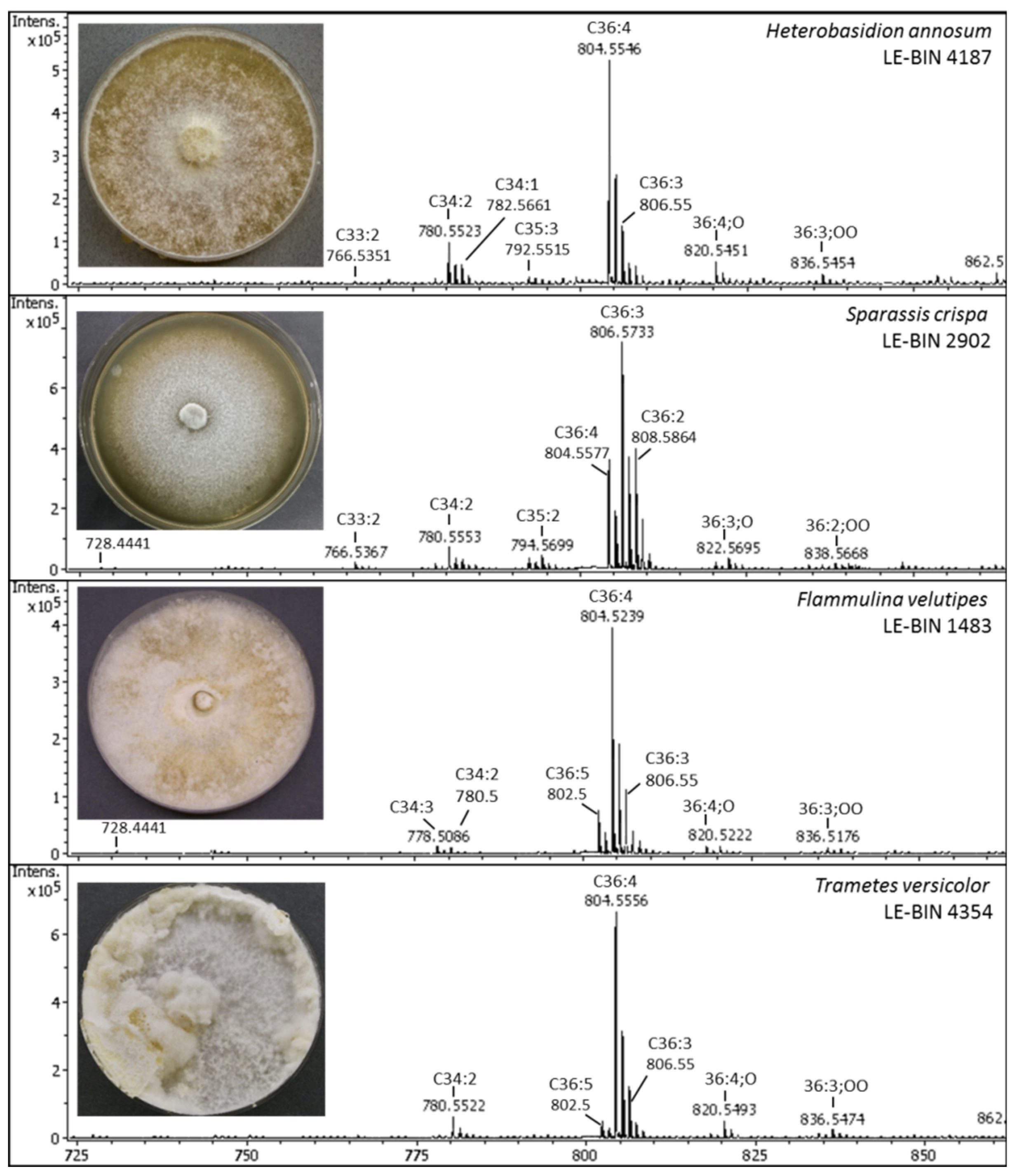 Jof 08 00177 g002 550