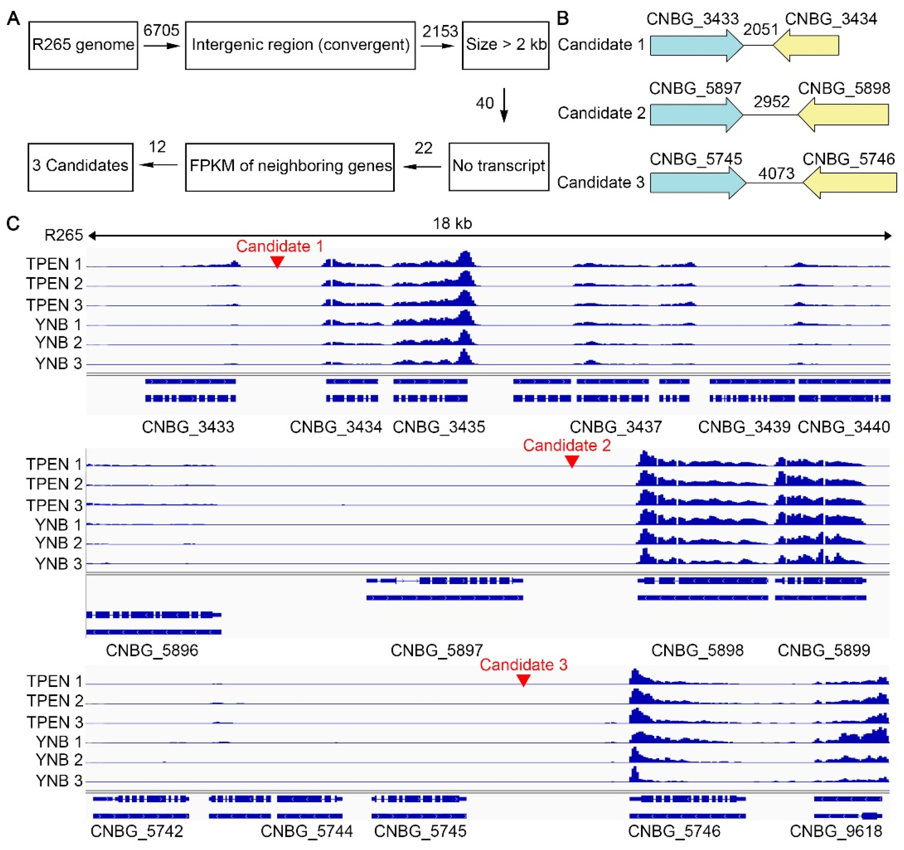Jof 08 00178 g001 550