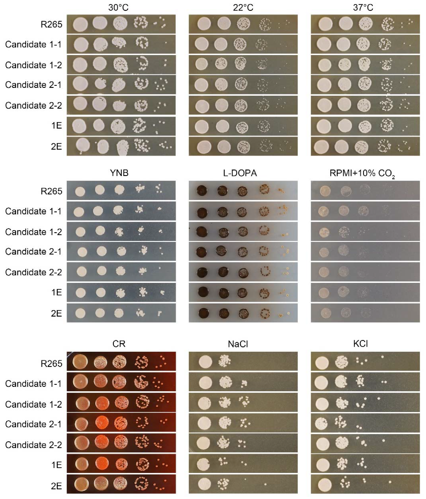 Jof 08 00178 g004 550