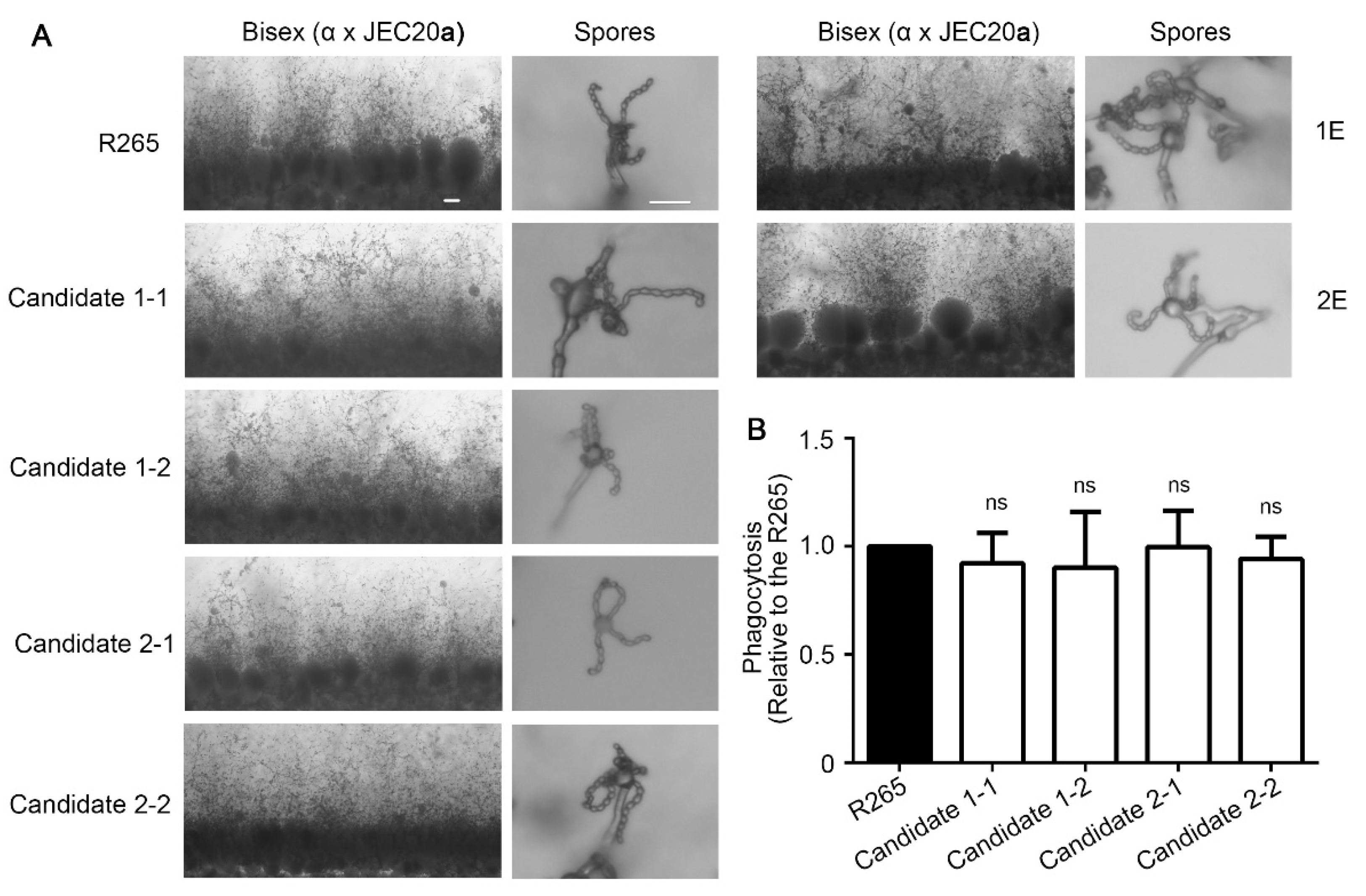 Jof 08 00178 g005 550