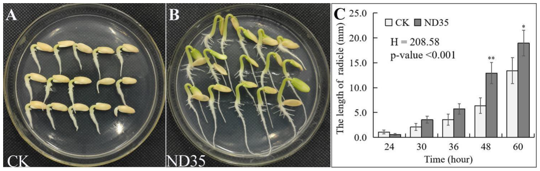 Jof 08 00180 g001 Jof 08 00180 g001