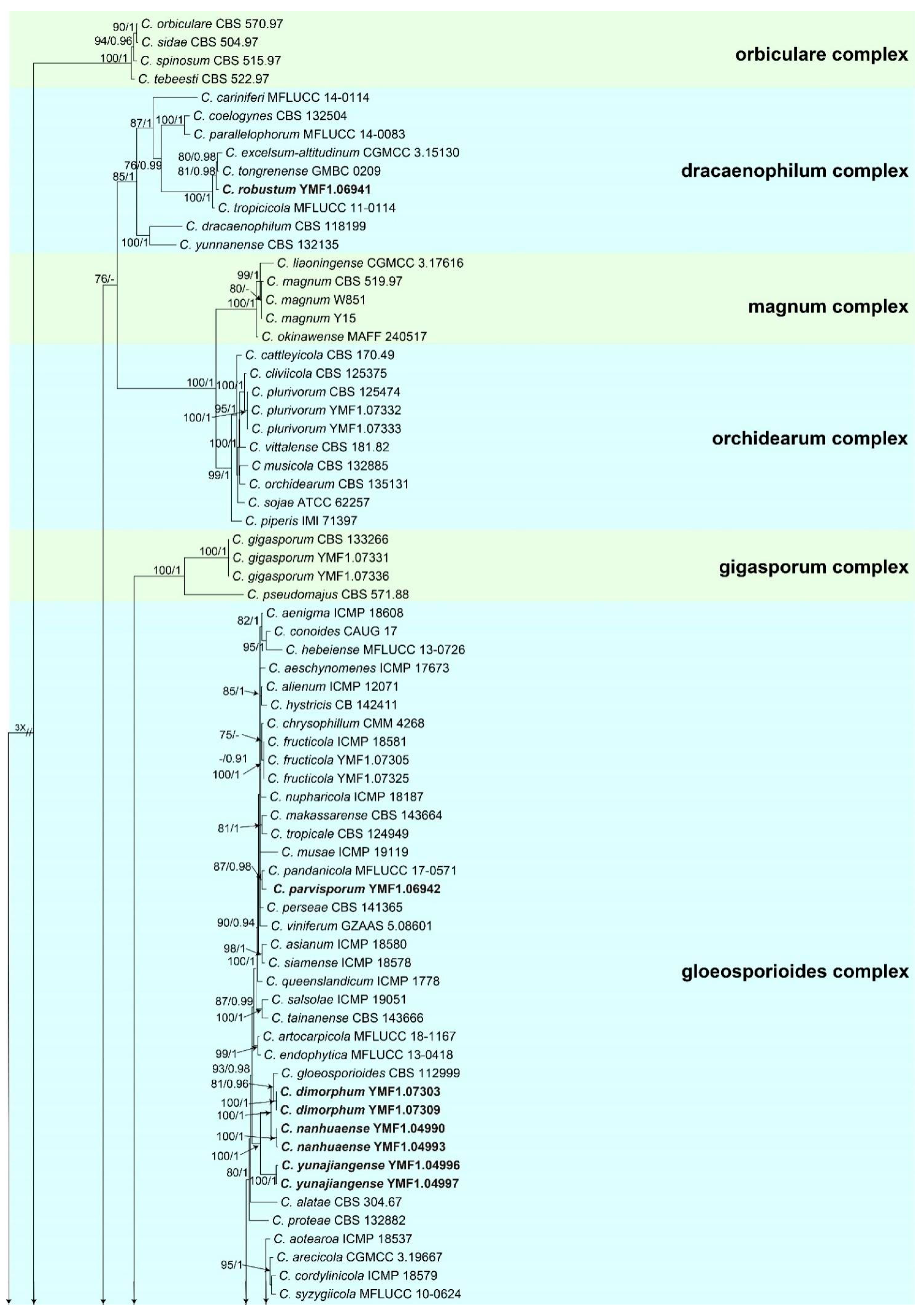 Jof 08 00185 g001a Jof 08 00185 g001a