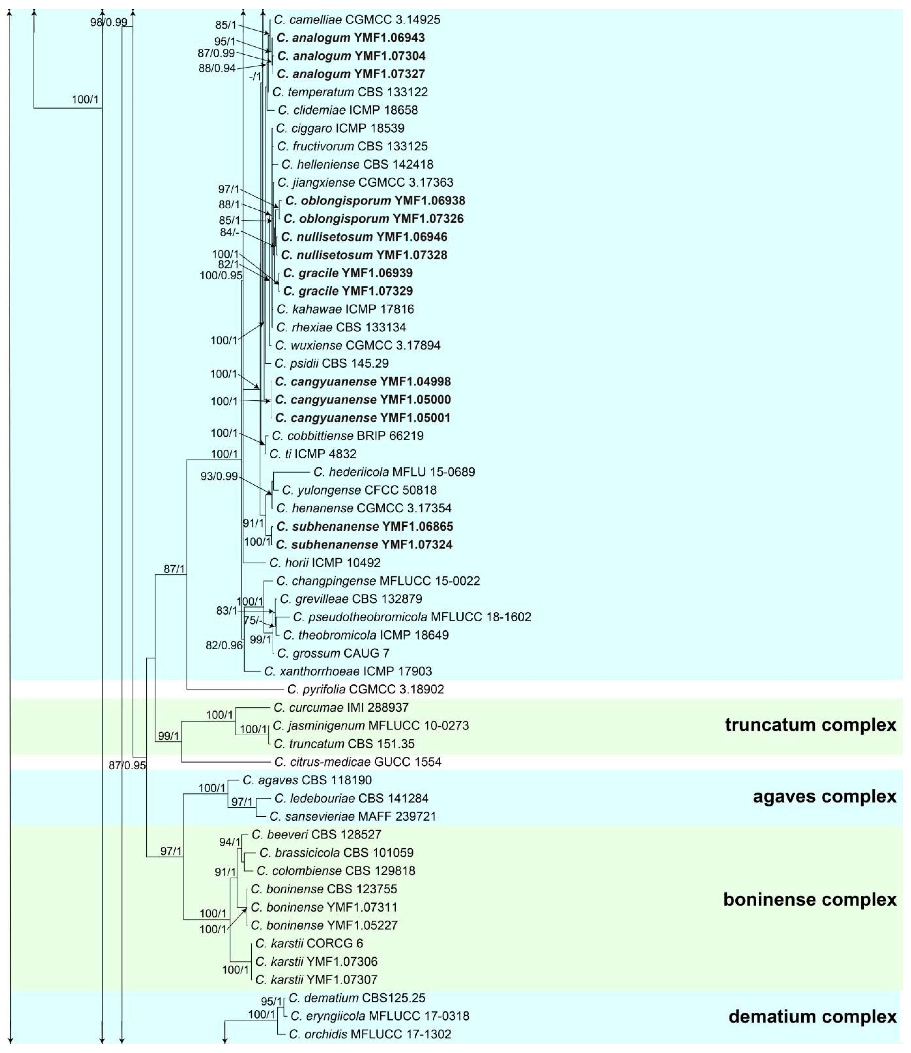 Jof 08 00185 g001b Jof 08 00185 g001b