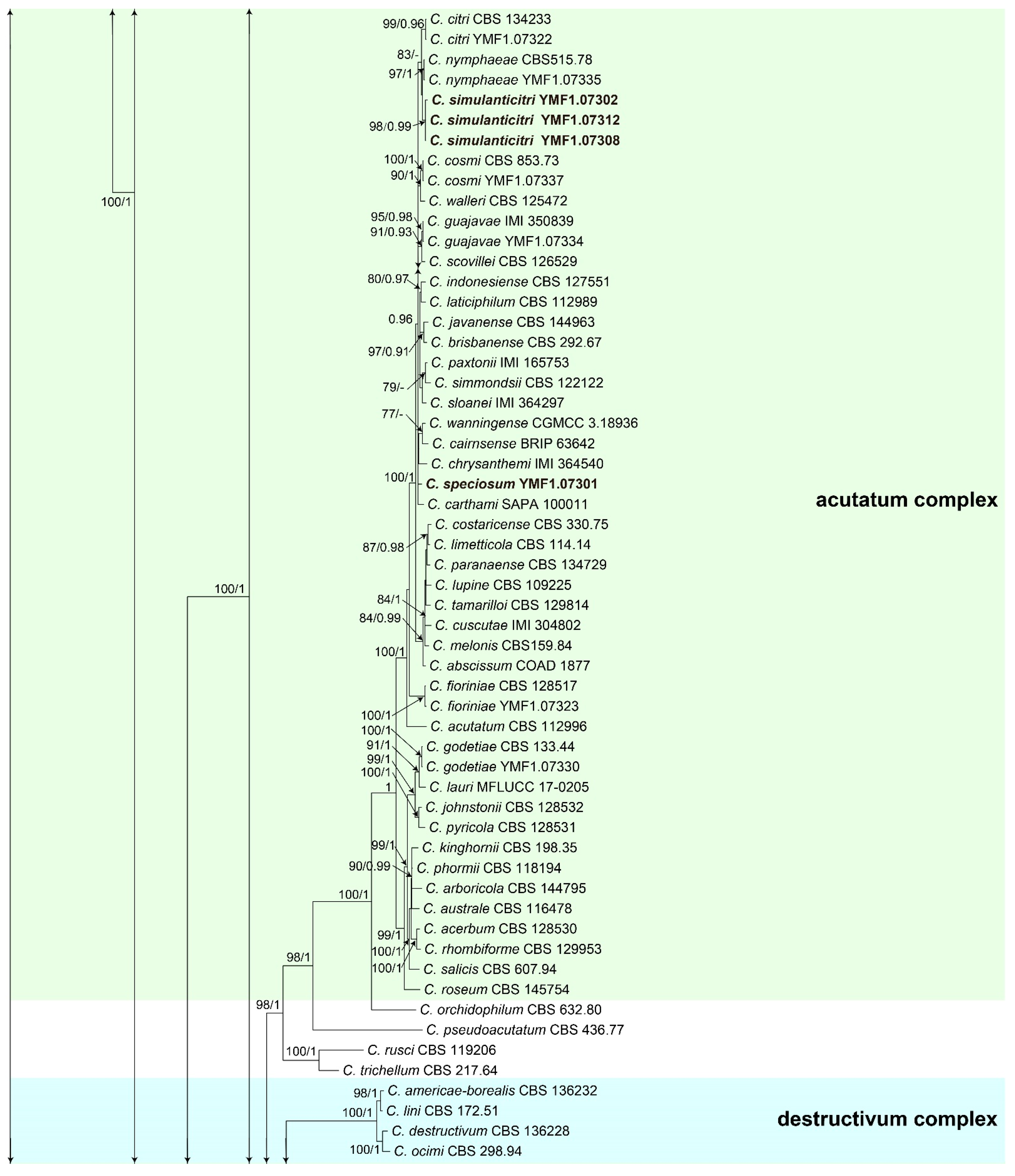 Jof 08 00185 g001c Jof 08 00185 g001c