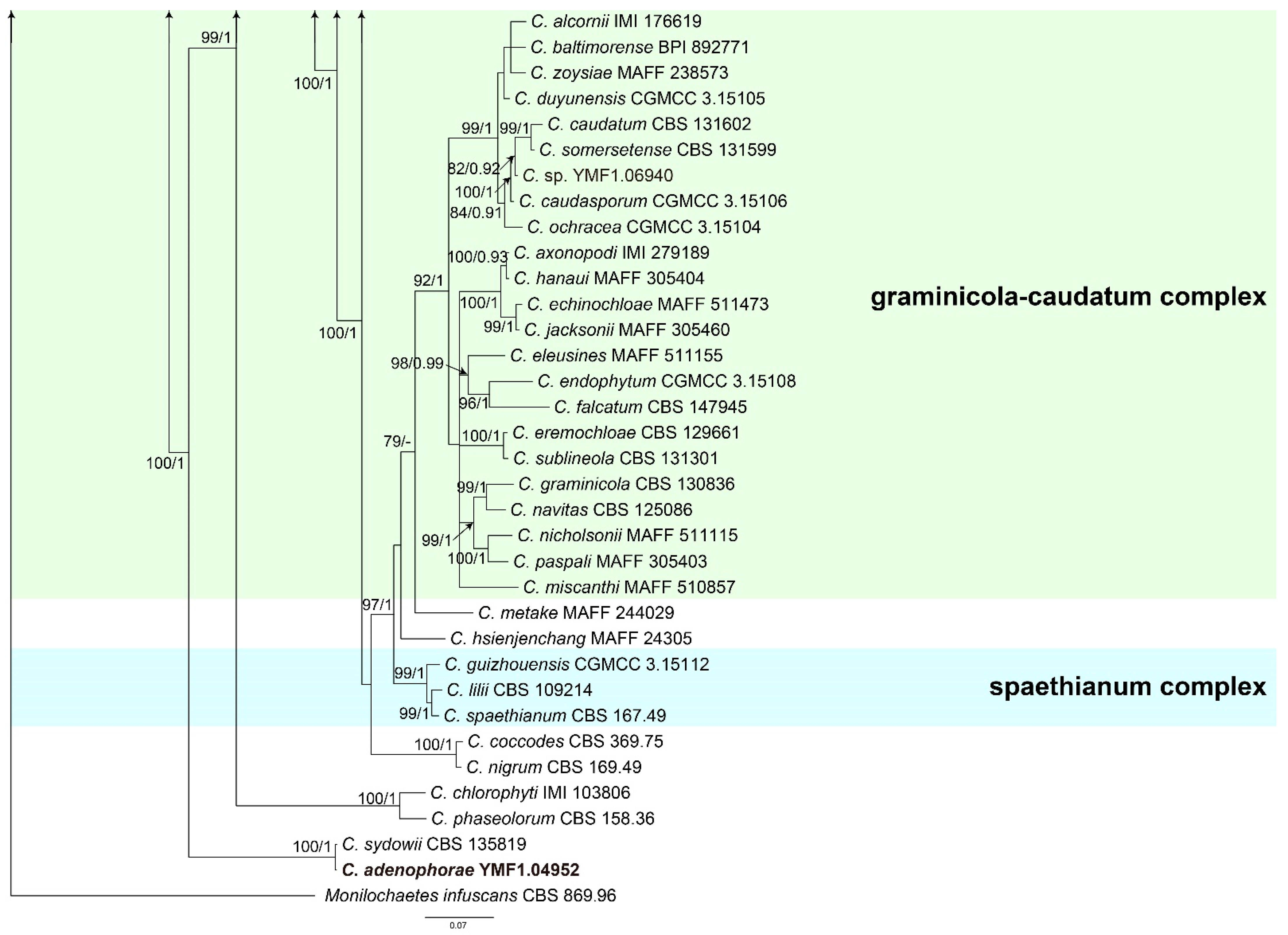 Jof 08 00185 g001d Jof 08 00185 g001d