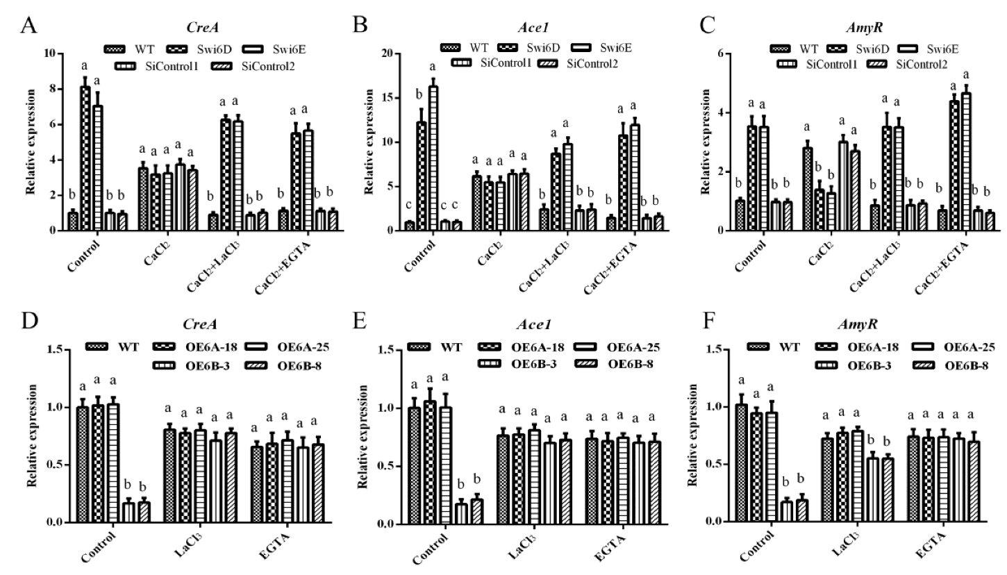 Jof 08 00187 g005 Jof 08 00187 g005