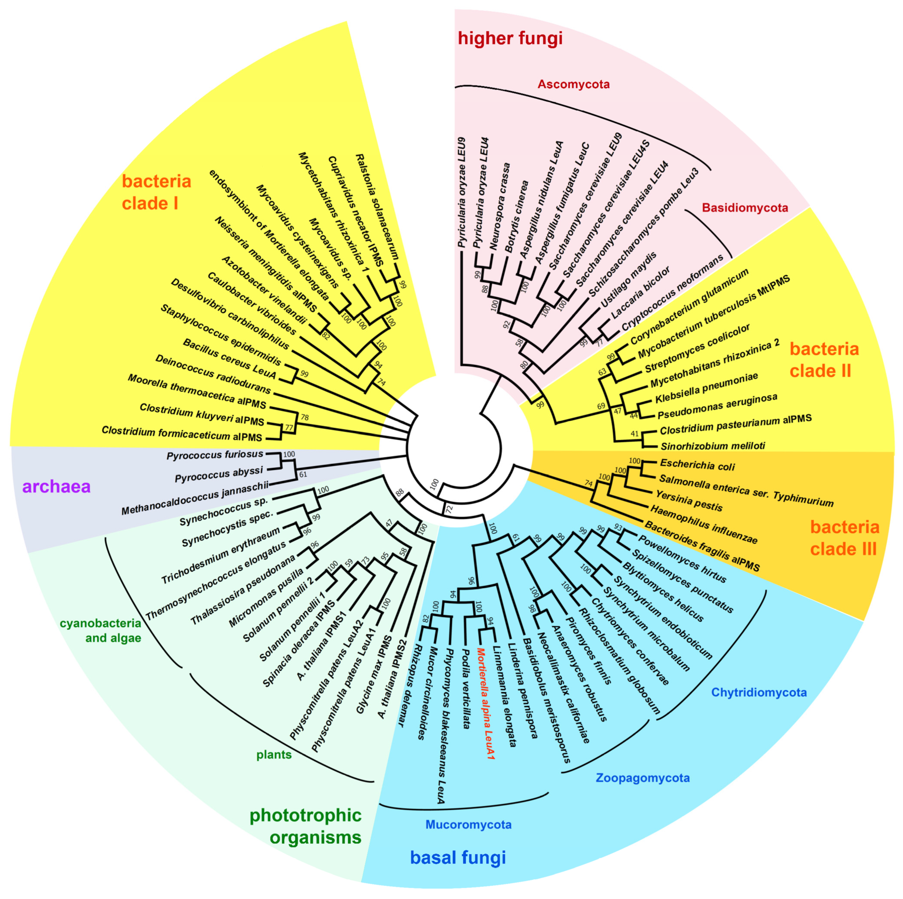 Jof 08 00196 g002 Jof 08 00196 g002