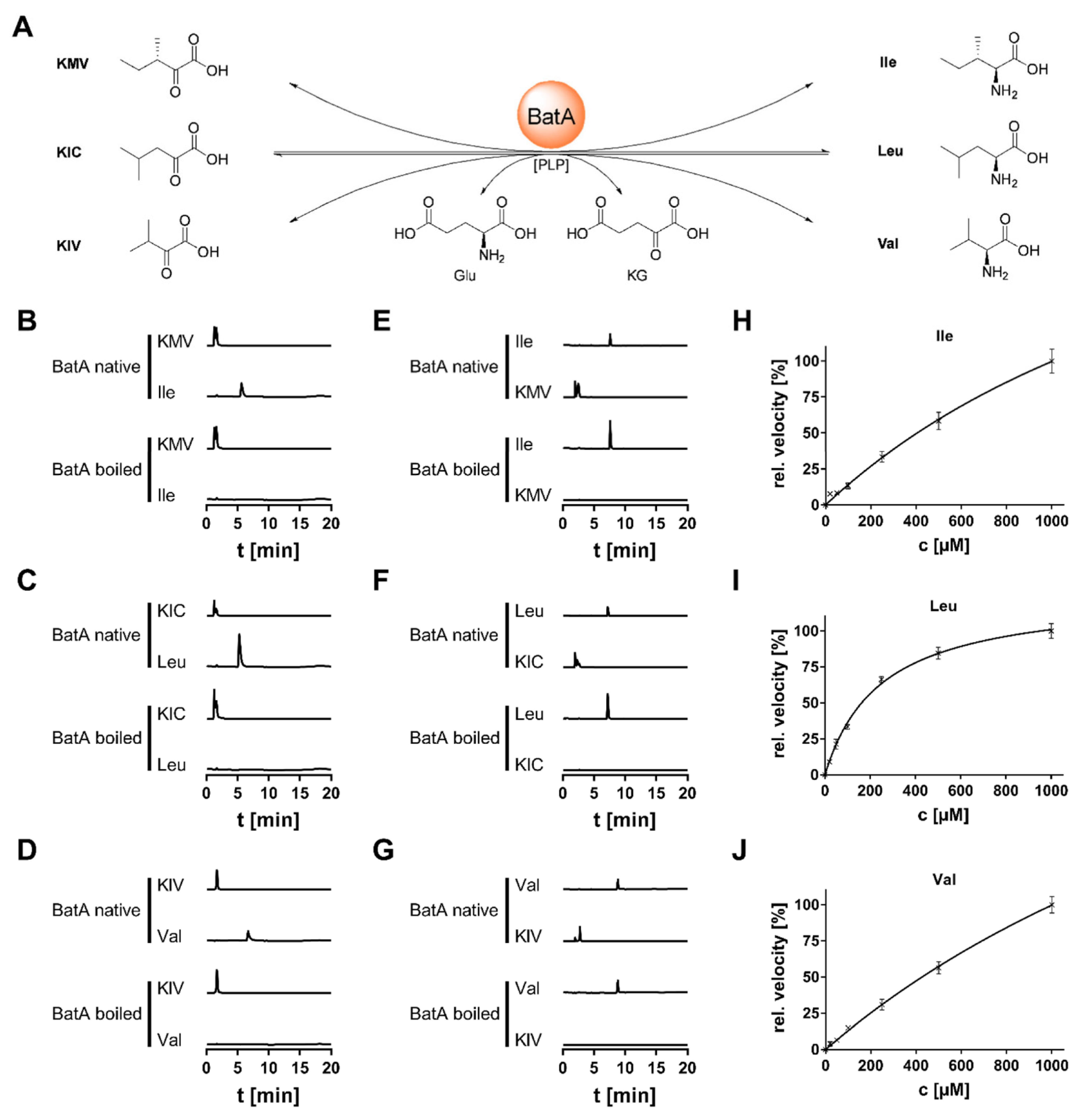 Jof 08 00196 g005 Jof 08 00196 g005