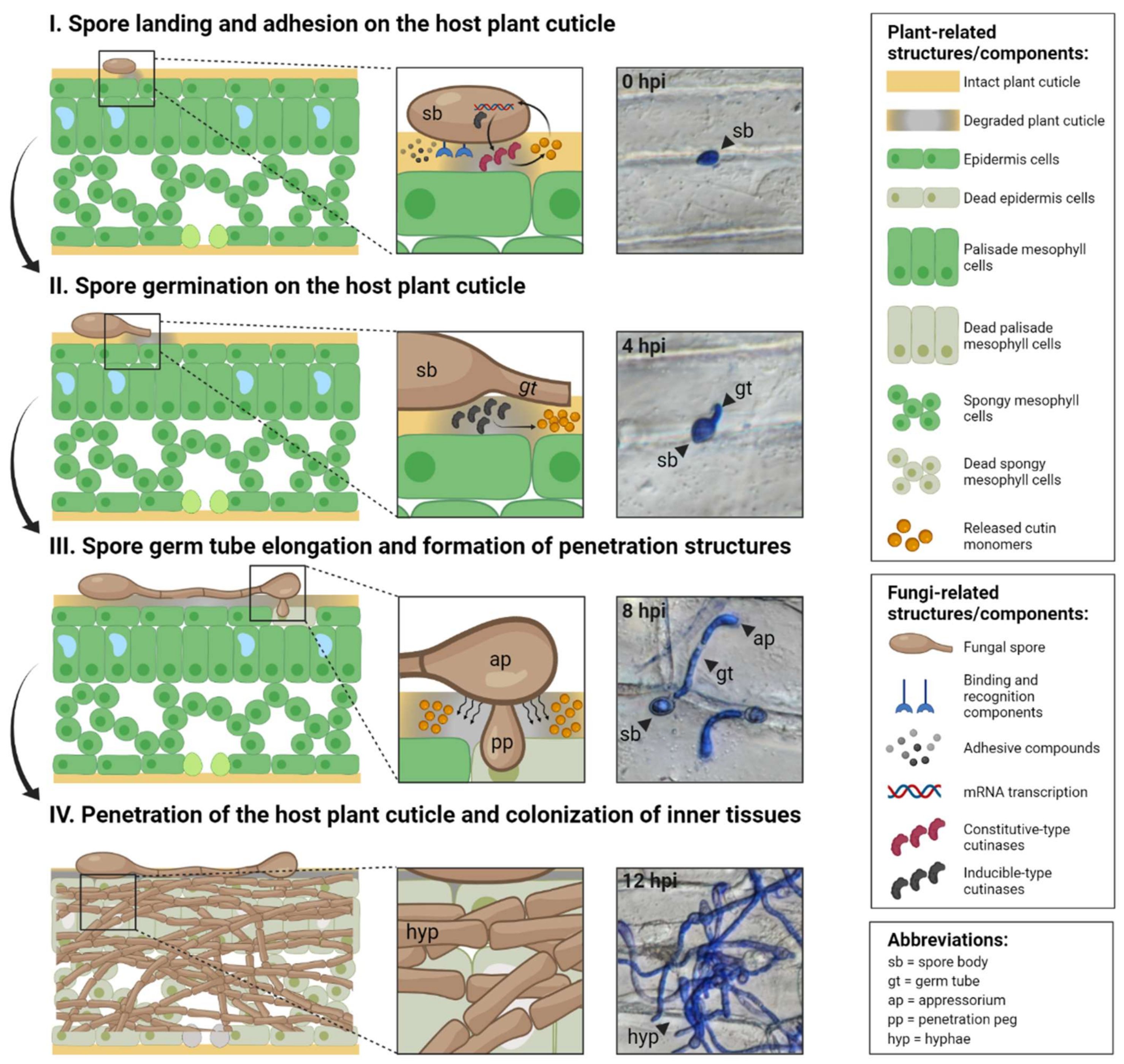 Jof 08 00199 g002 550