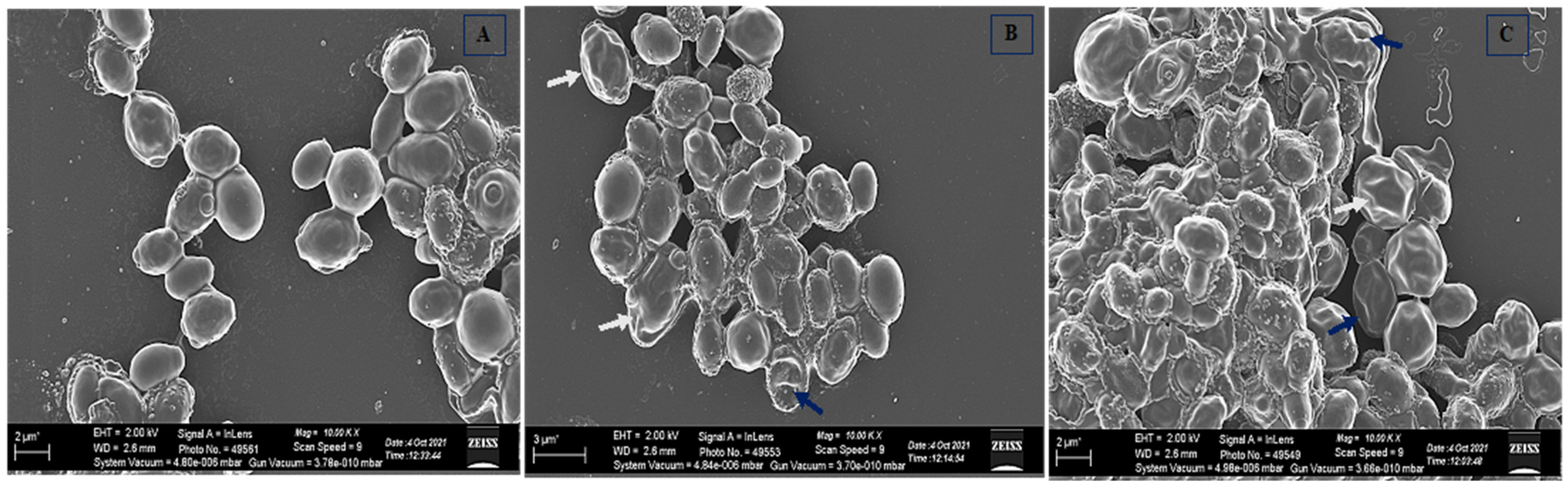 Jof 08 00204 g006 Jof 08 00204 g006