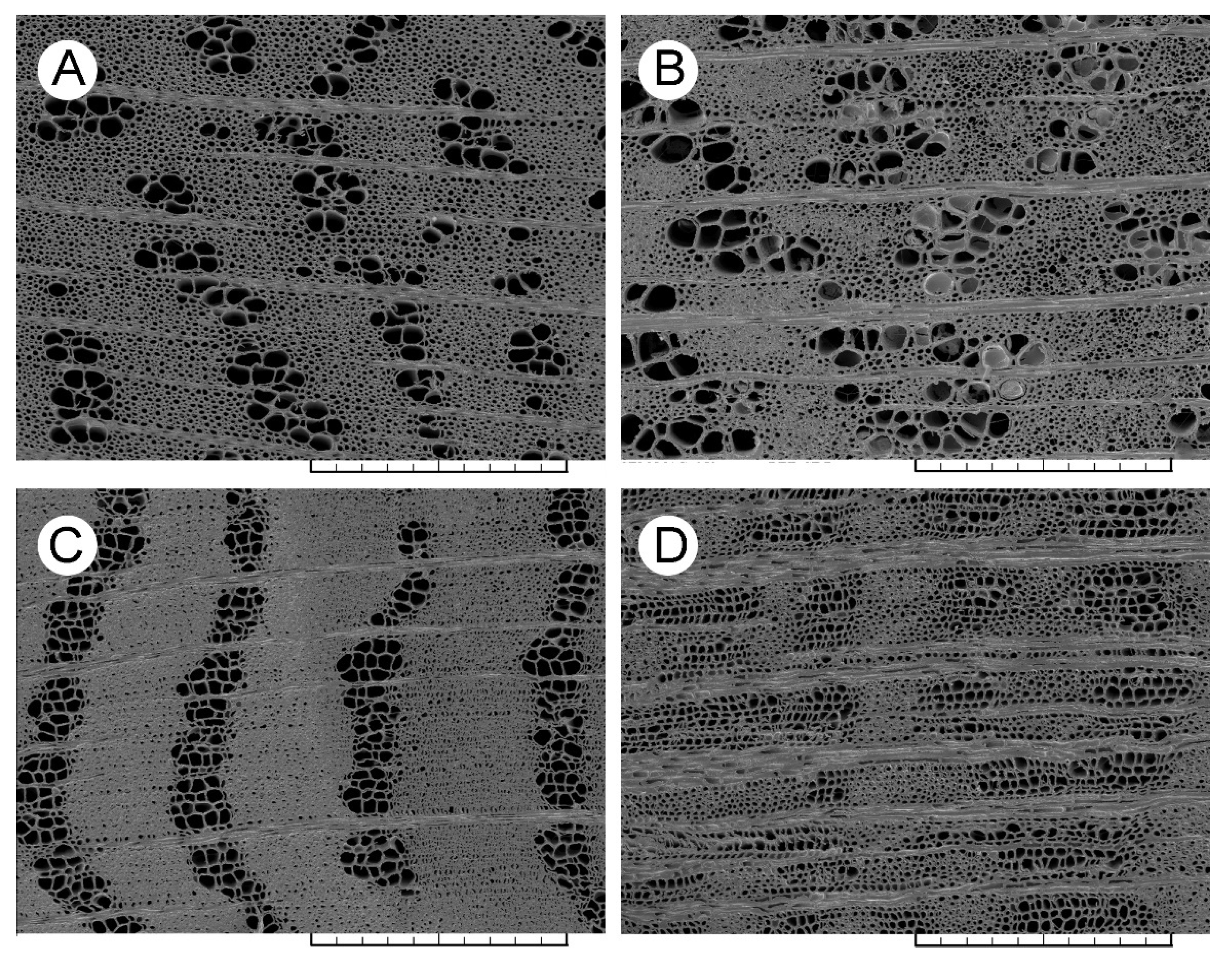 Jof 08 00215 g003 Jof 08 00215 g003