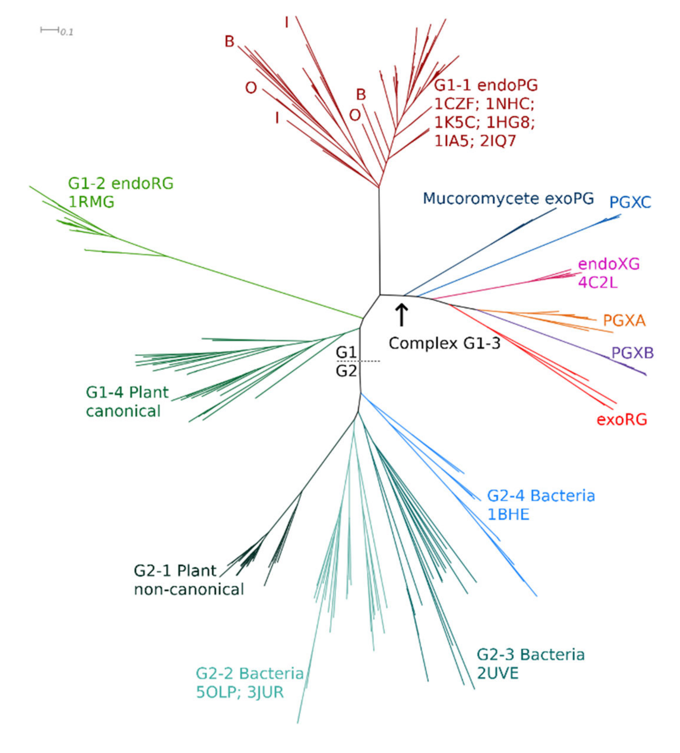 Jof 08 00217 g002 Jof 08 00217 g002