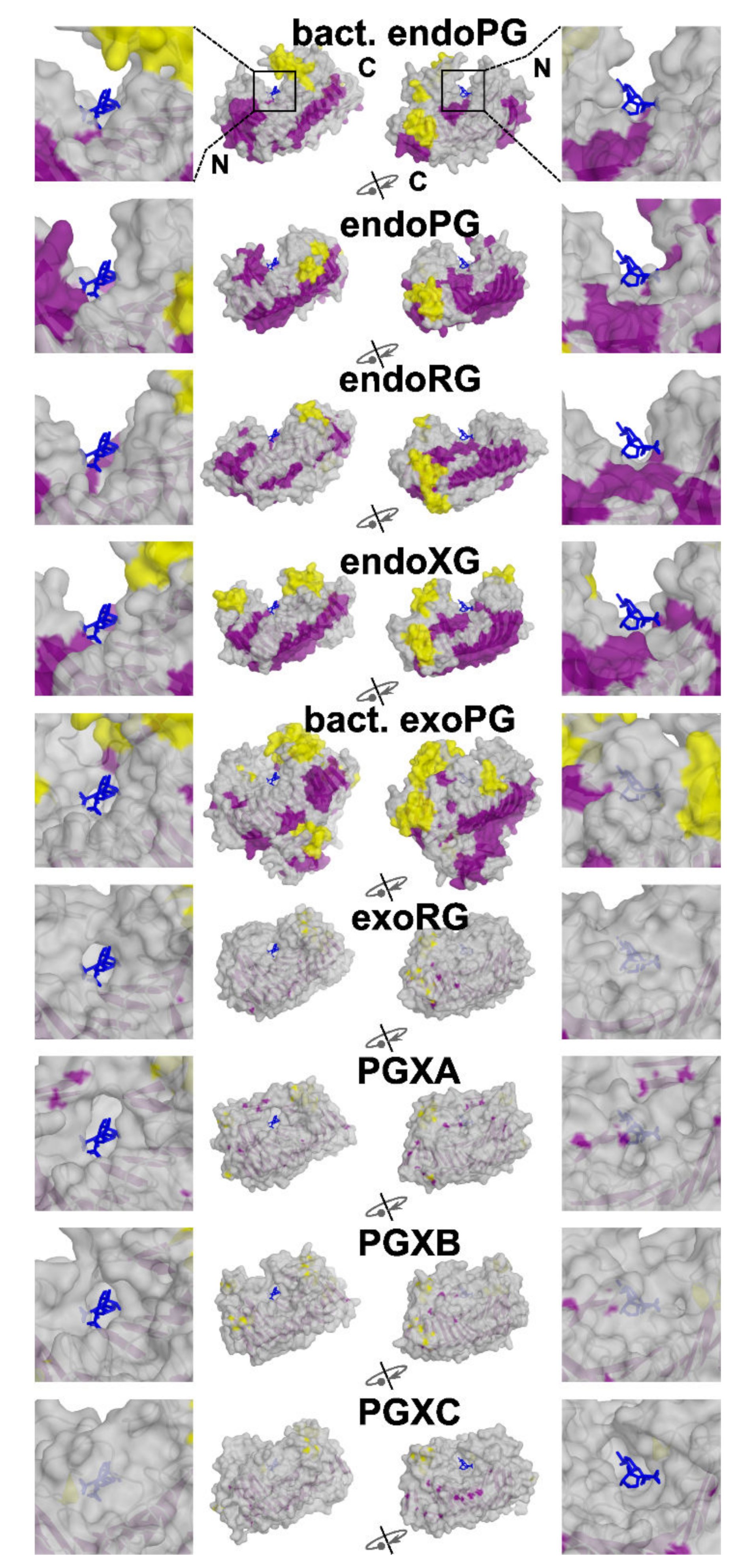 Jof 08 00217 g004 Jof 08 00217 g004