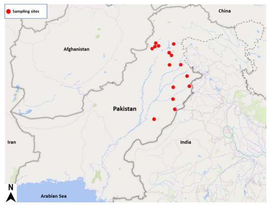 5 Wochen Parken Am Flughafen Luxemburg www.mdpi.com