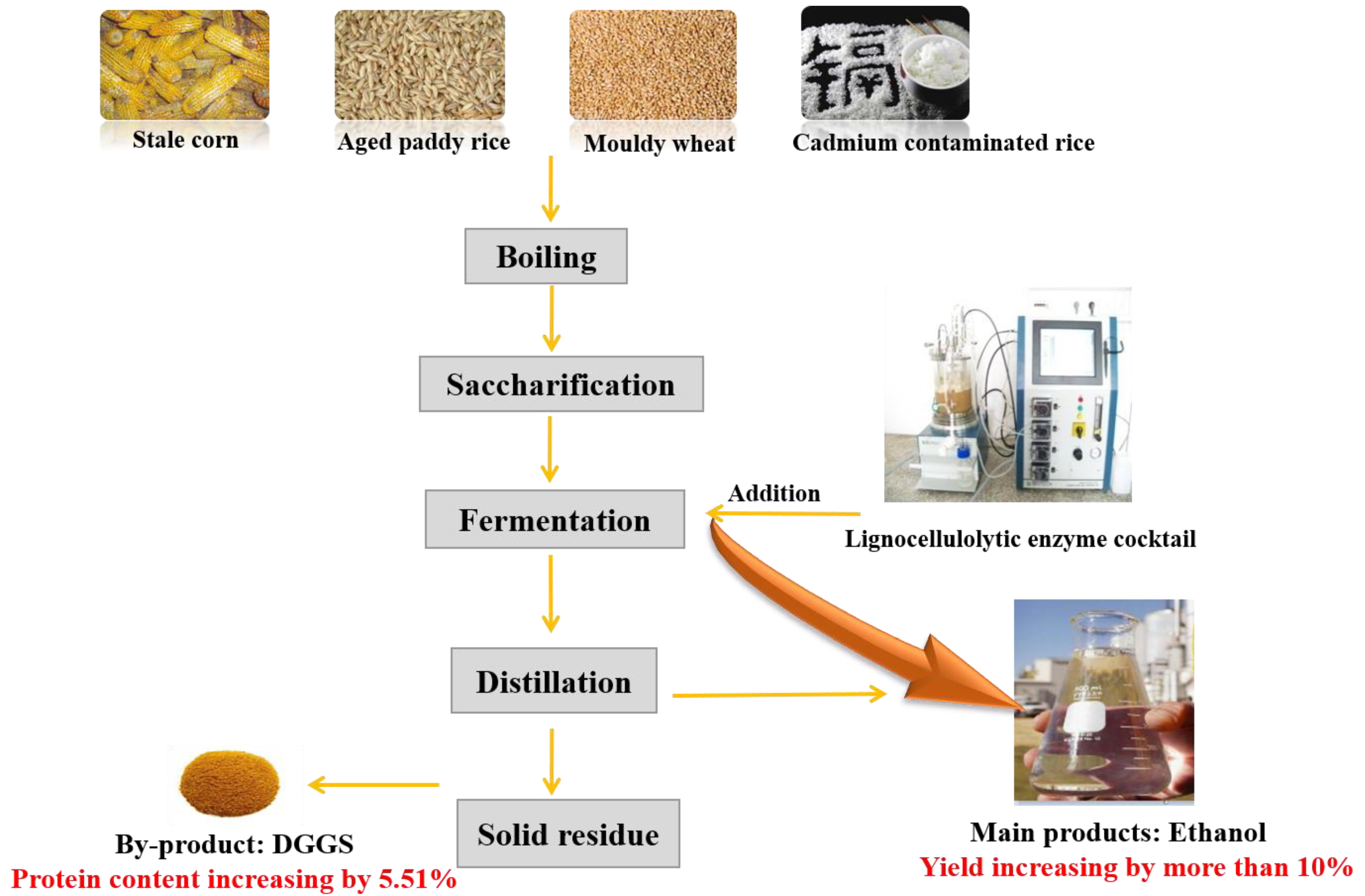 Jof 08 00221 g001 Jof 08 00221 g001