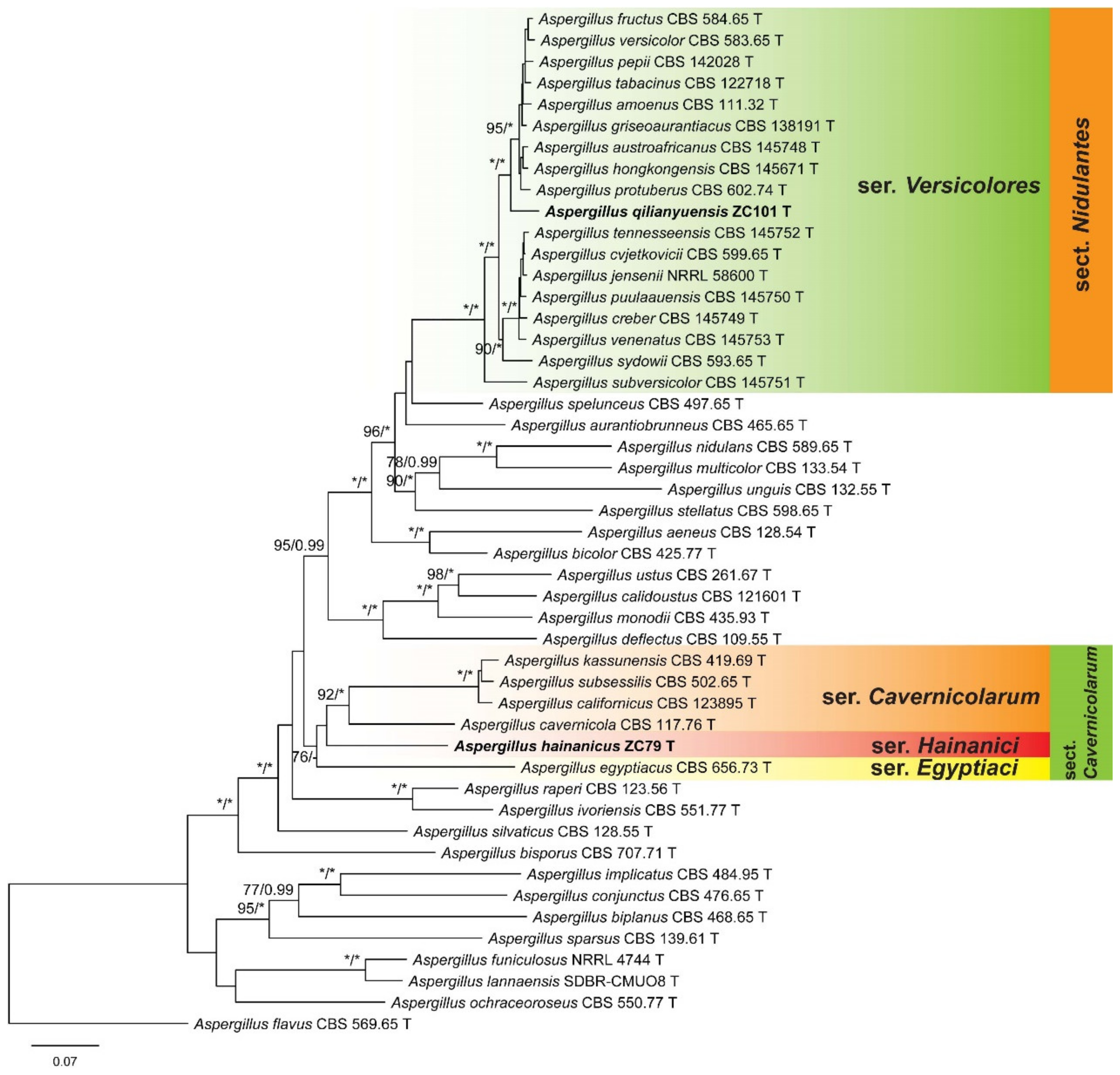 Jof 08 00225 g001 Jof 08 00225 g001