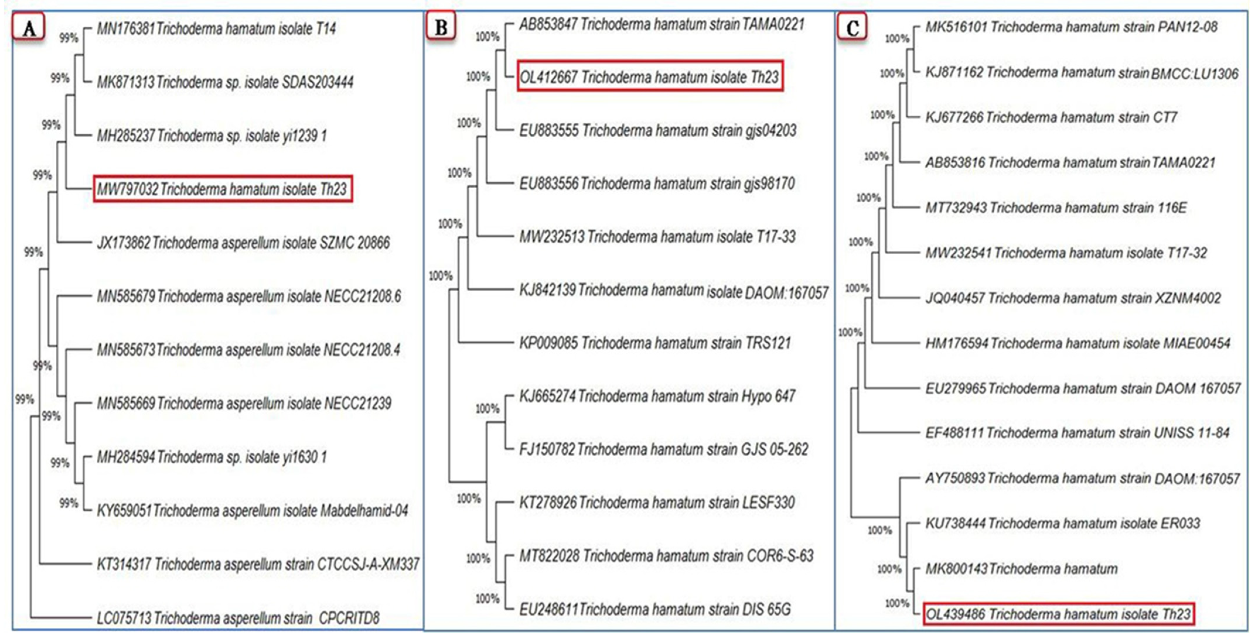 Jof 08 00228 g001 Jof 08 00228 g001