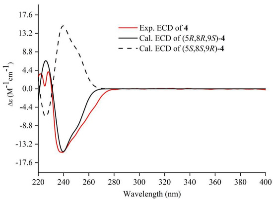 Polyketide Derivatives from the Endophytic Fungus