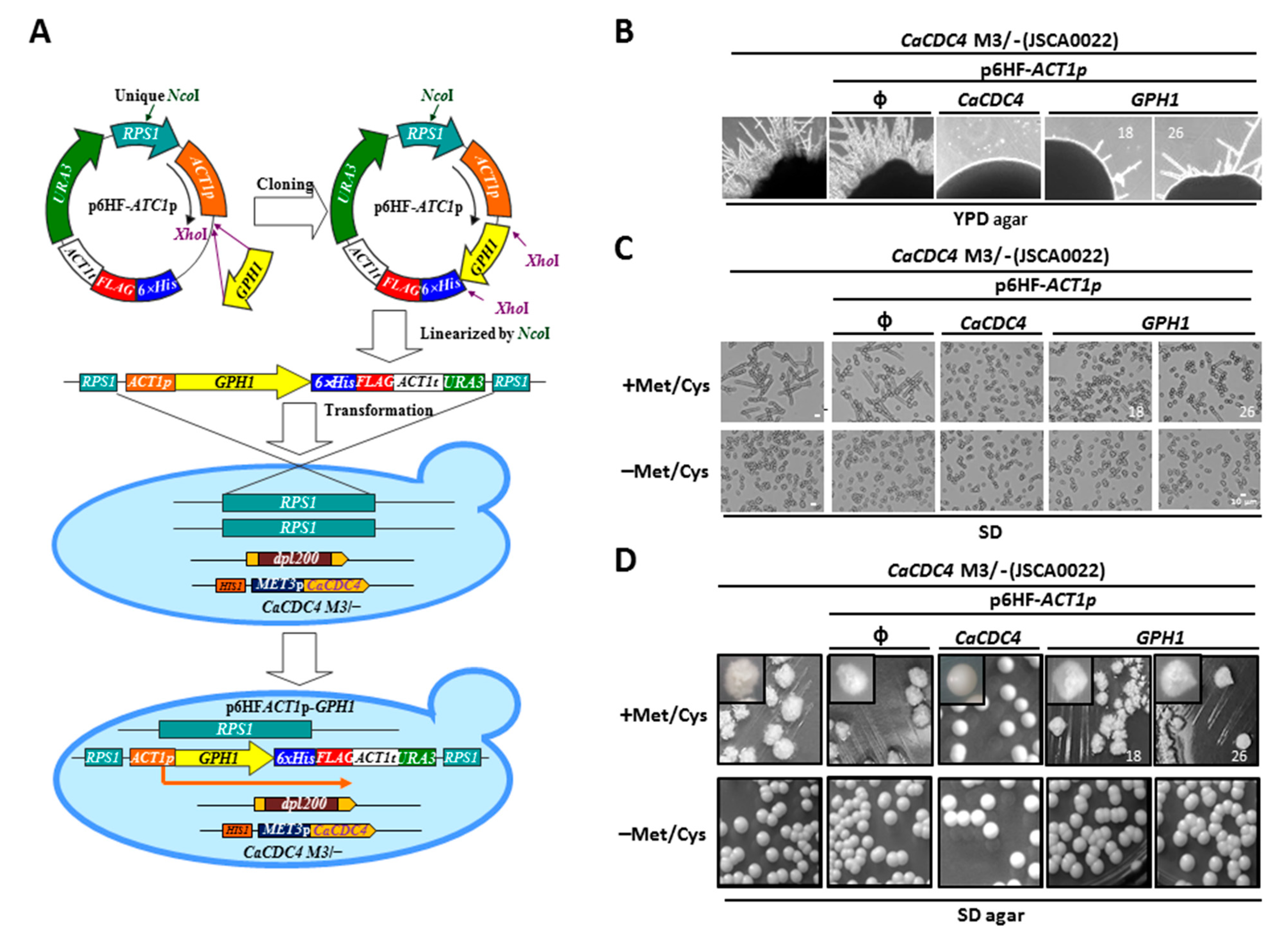 Jof 08 00233 g001 Jof 08 00233 g001