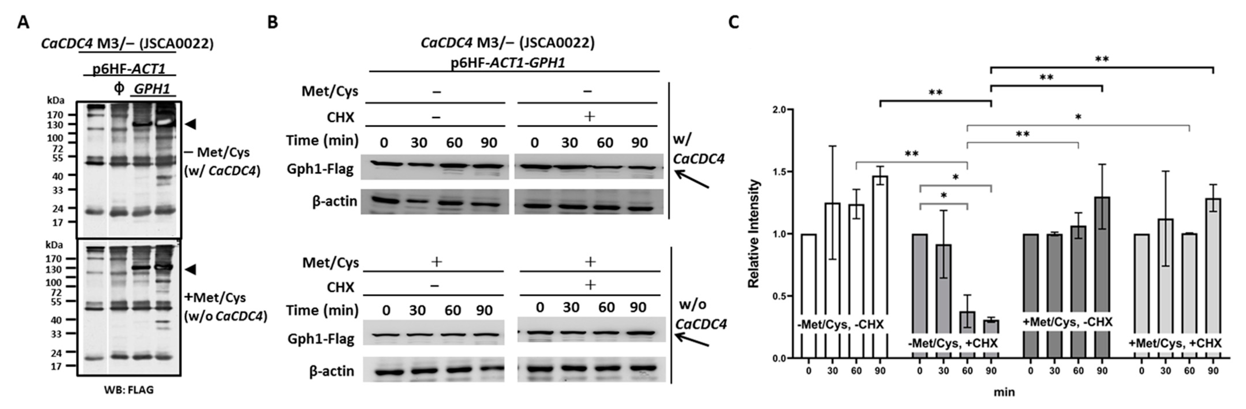 Jof 08 00233 g002 Jof 08 00233 g002
