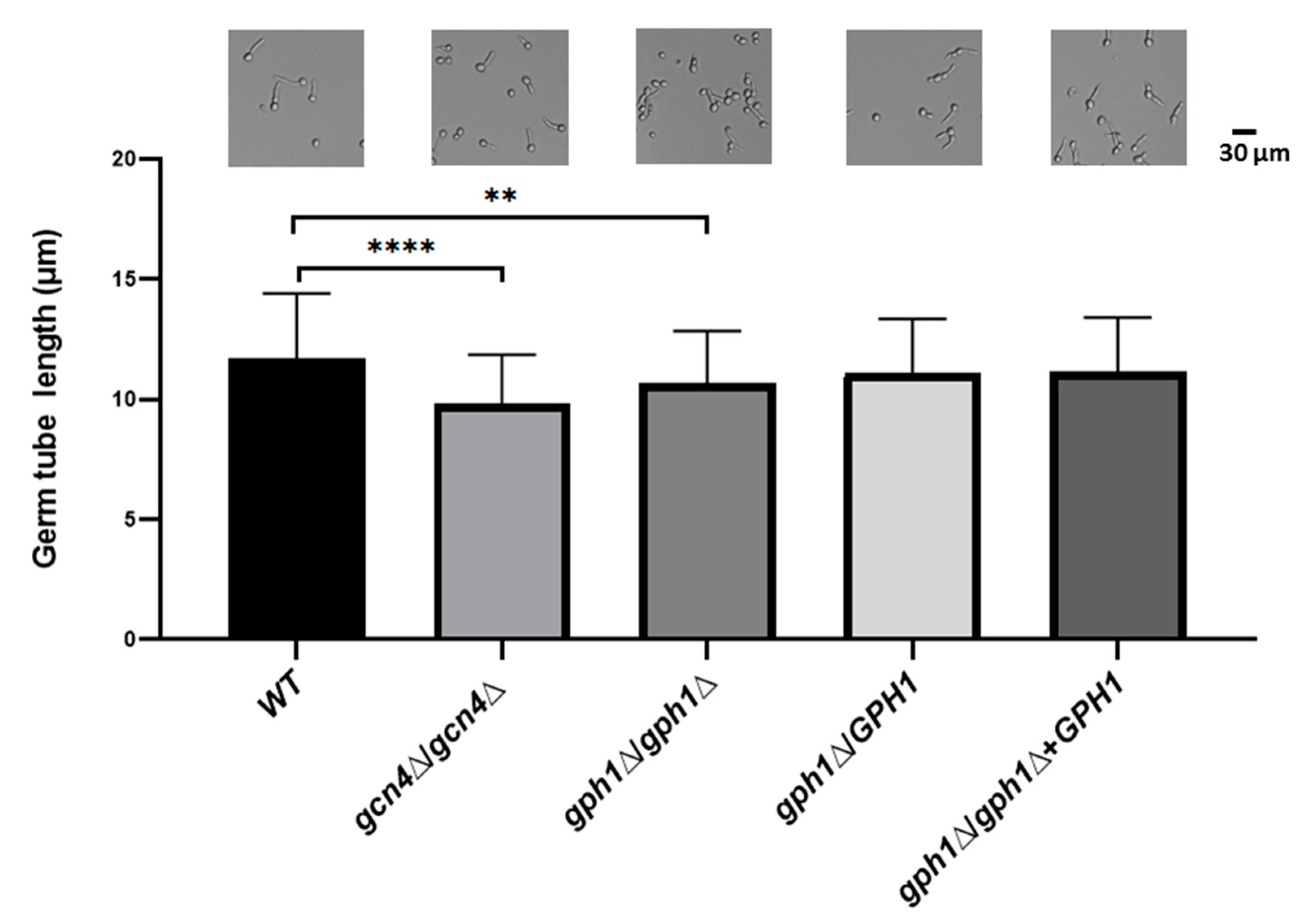 Jof 08 00233 g003 Jof 08 00233 g003