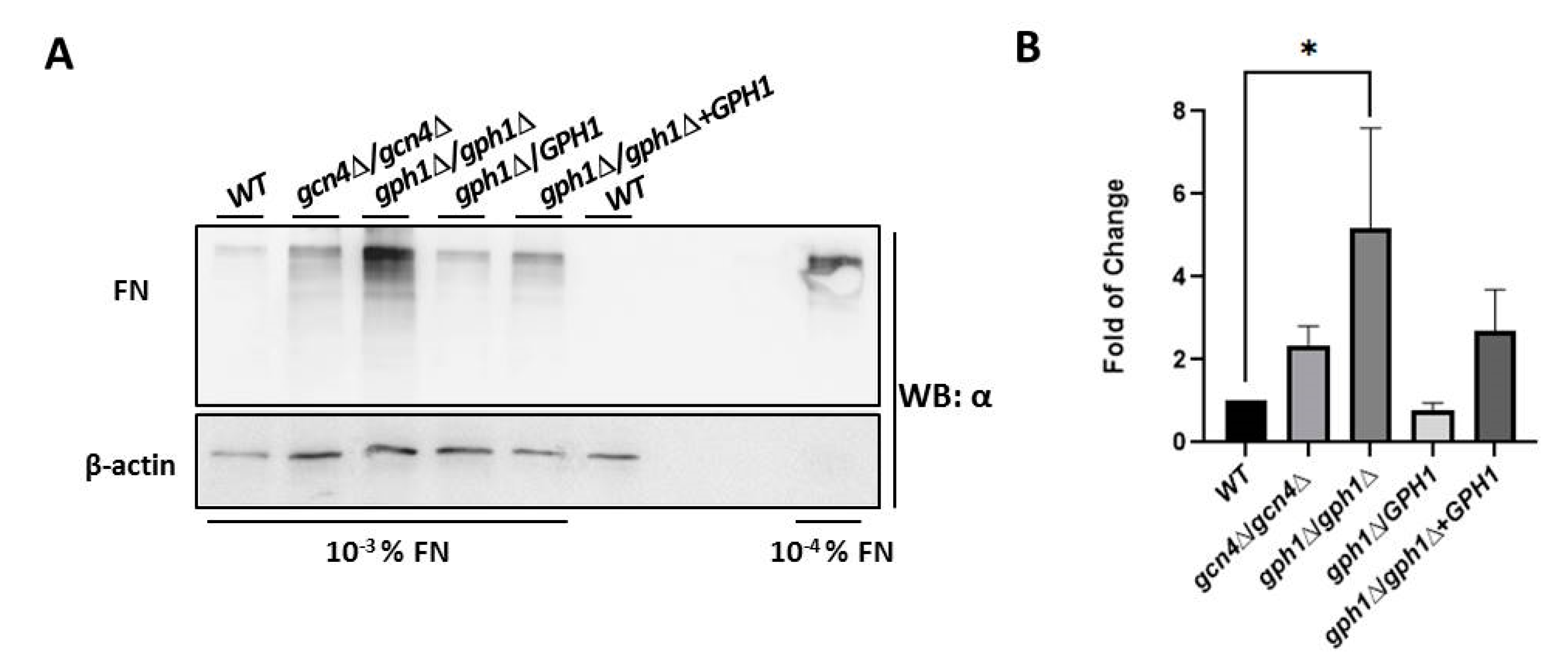 Jof 08 00233 g005 Jof 08 00233 g005