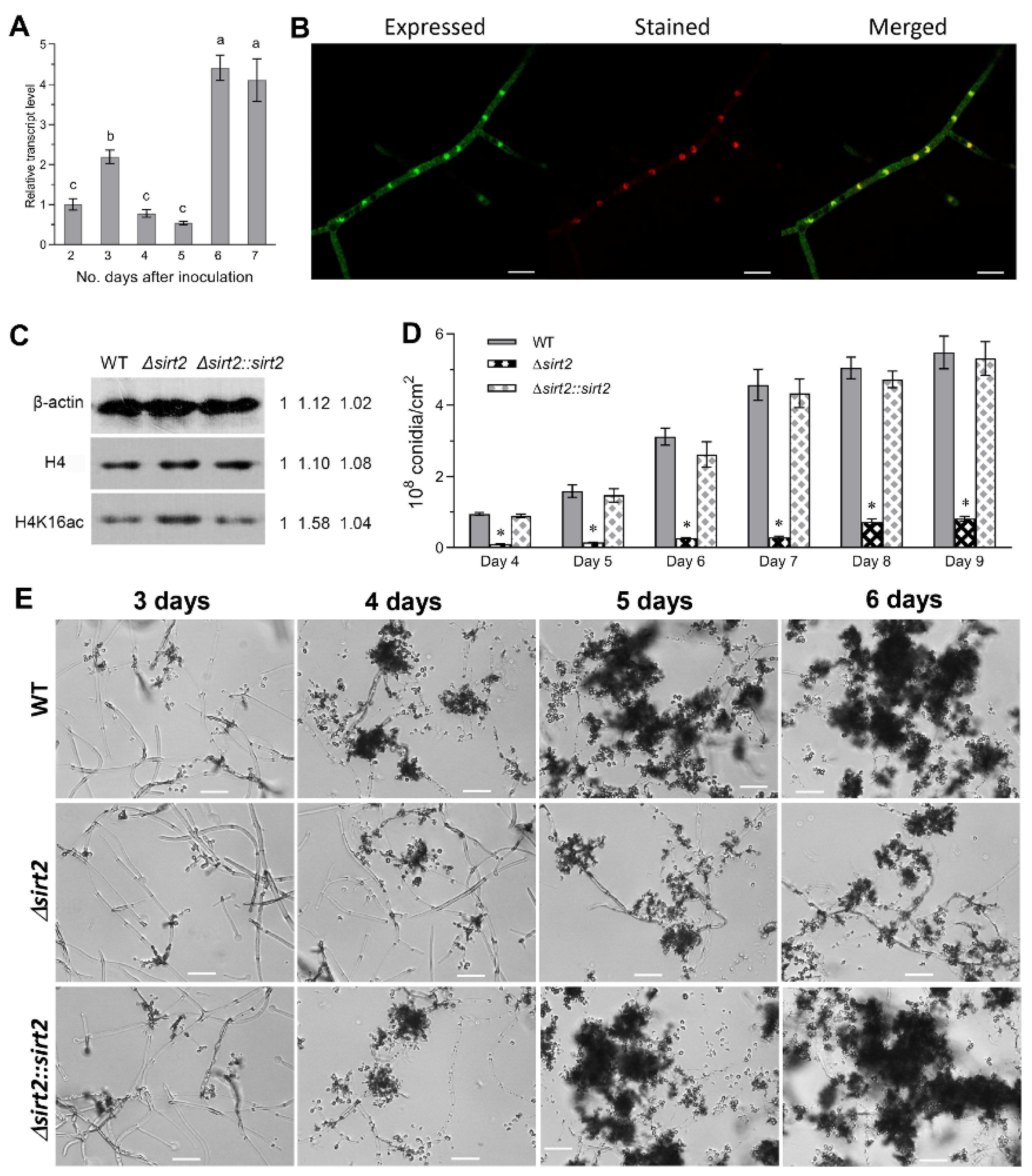 Jof 08 00236 g001 550