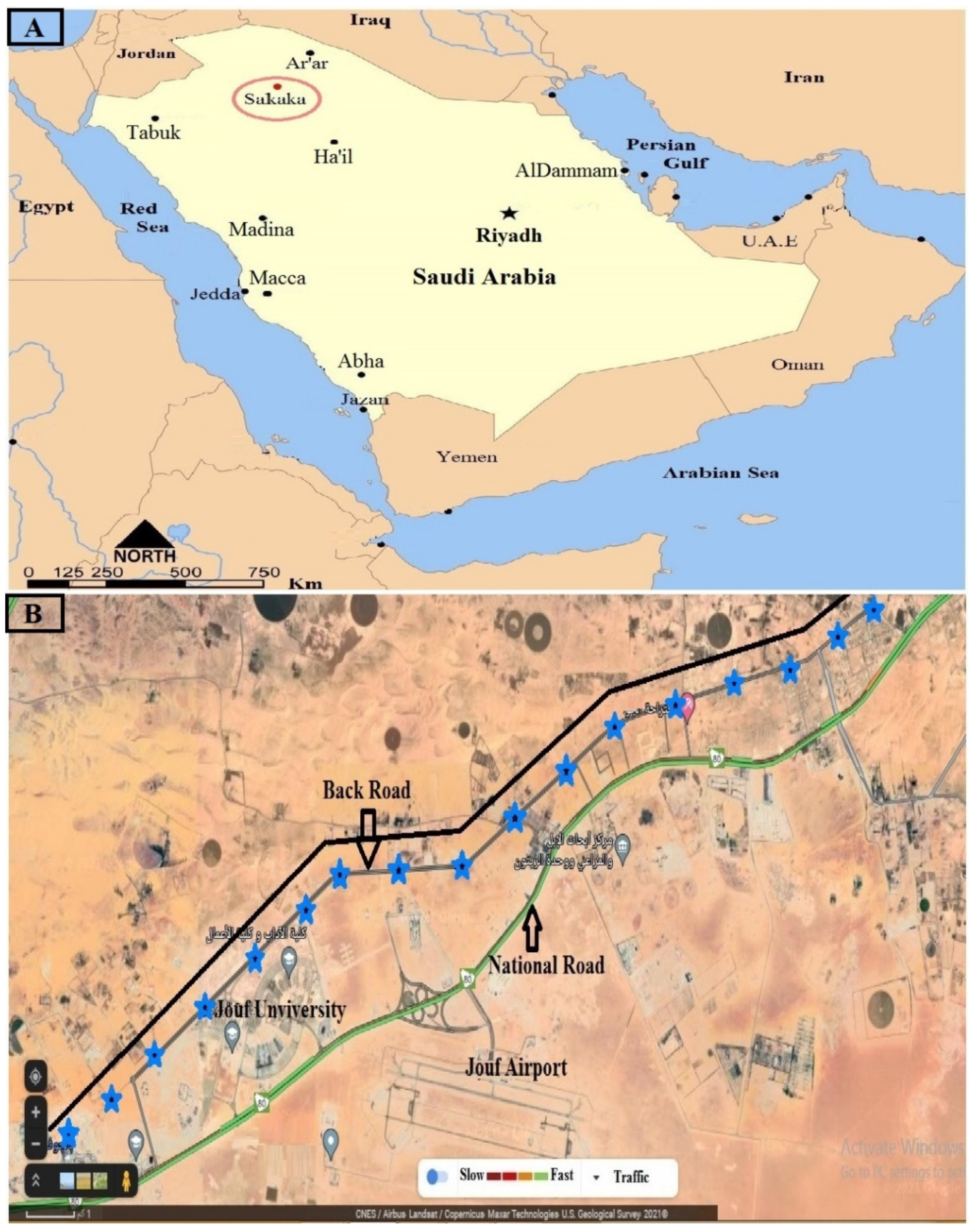 Al Jouf Sakaka Map Jof | Free Full-Text | Composition And Diversity Of The Culturable  Endophytic Community Of Six Stress-Tolerant Dessert Plants Grown In  Stressful Soil In A Hot Dry Desert Region | Html