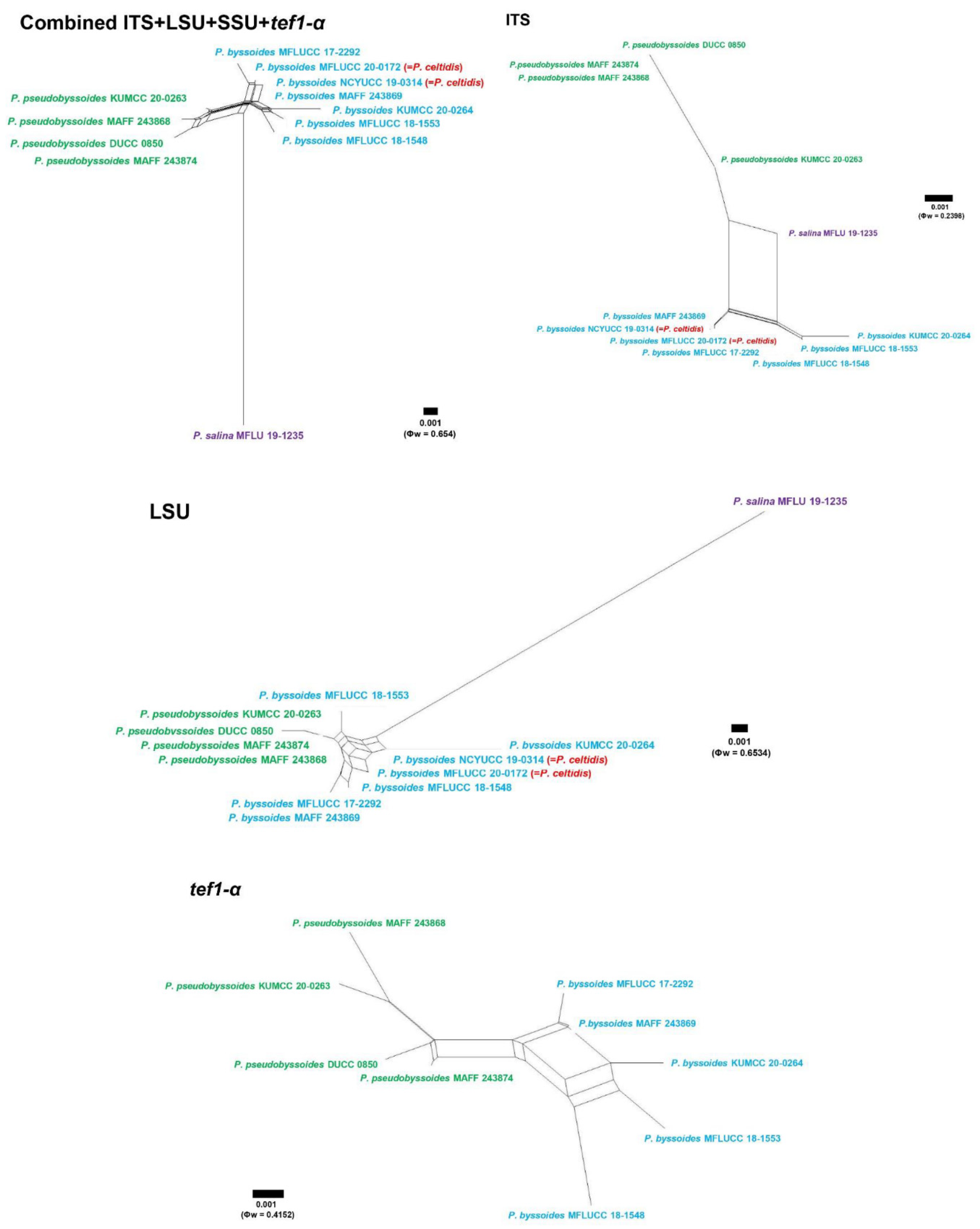 Jof 08 00243 g002 550